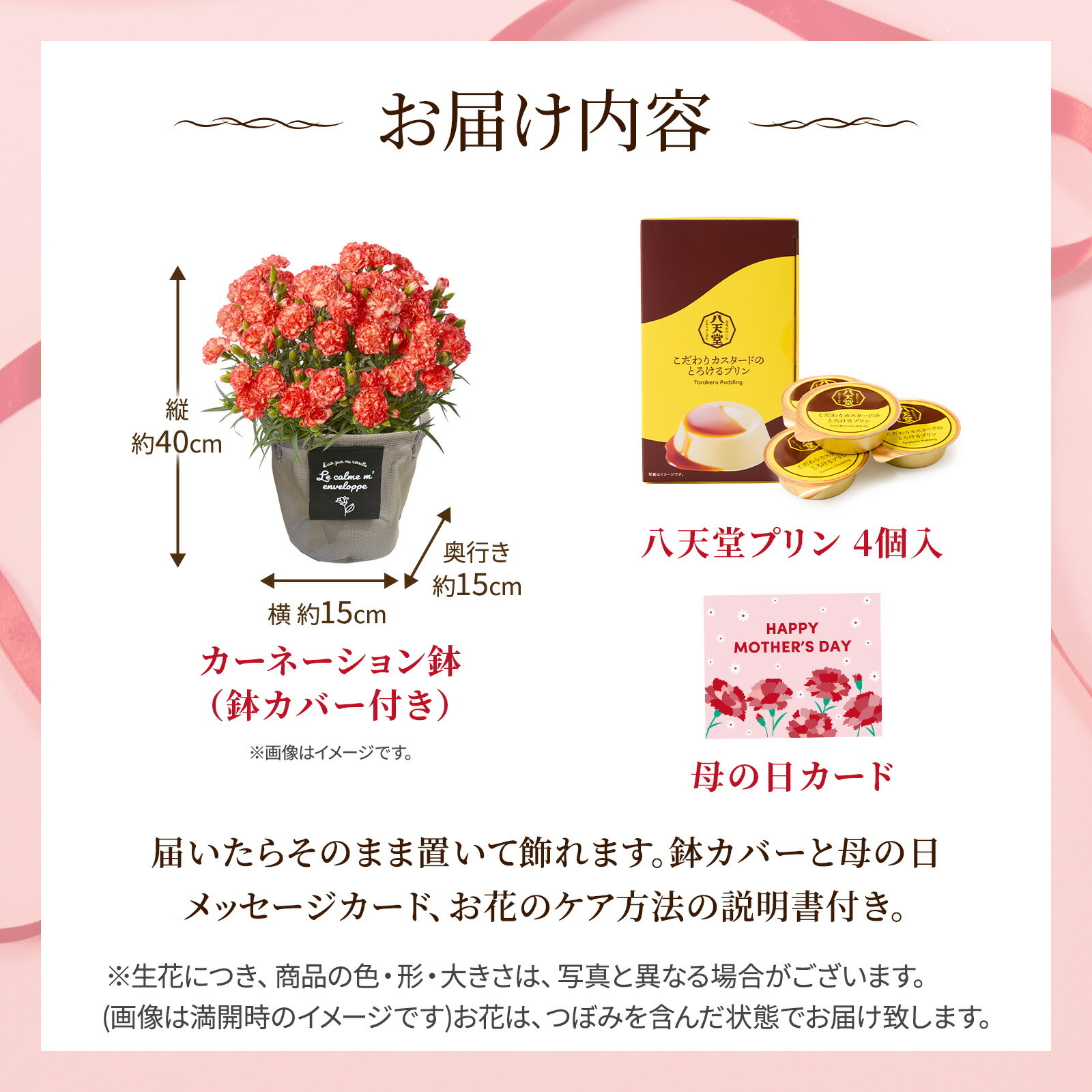 鉢植え カーネーション オレンジ(テキーラ) と 八天堂プリン のセット【母の日カード付き】