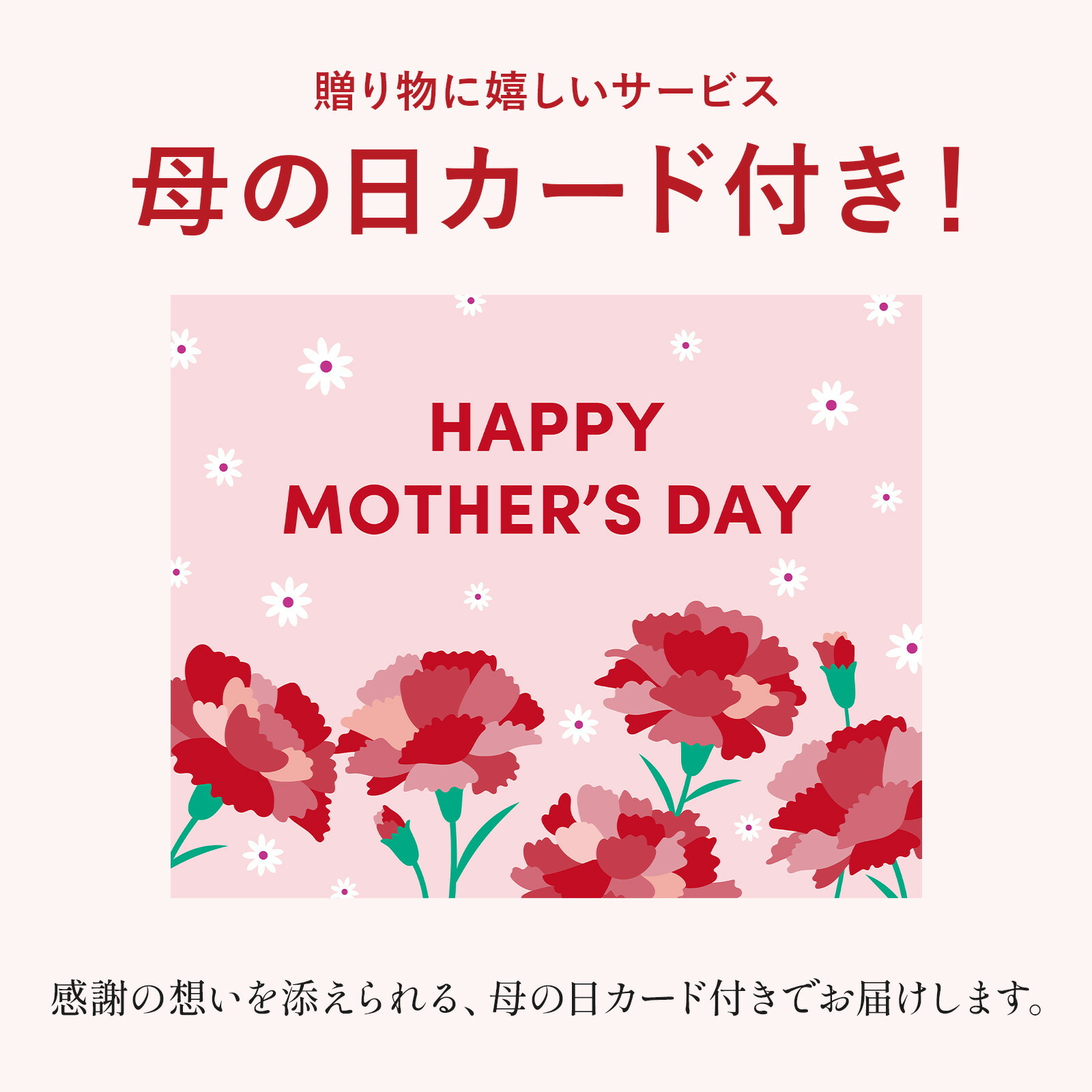 鉢植え カーネーション オレンジ(テキーラ) と 八天堂プリン のセット【母の日カード付き】