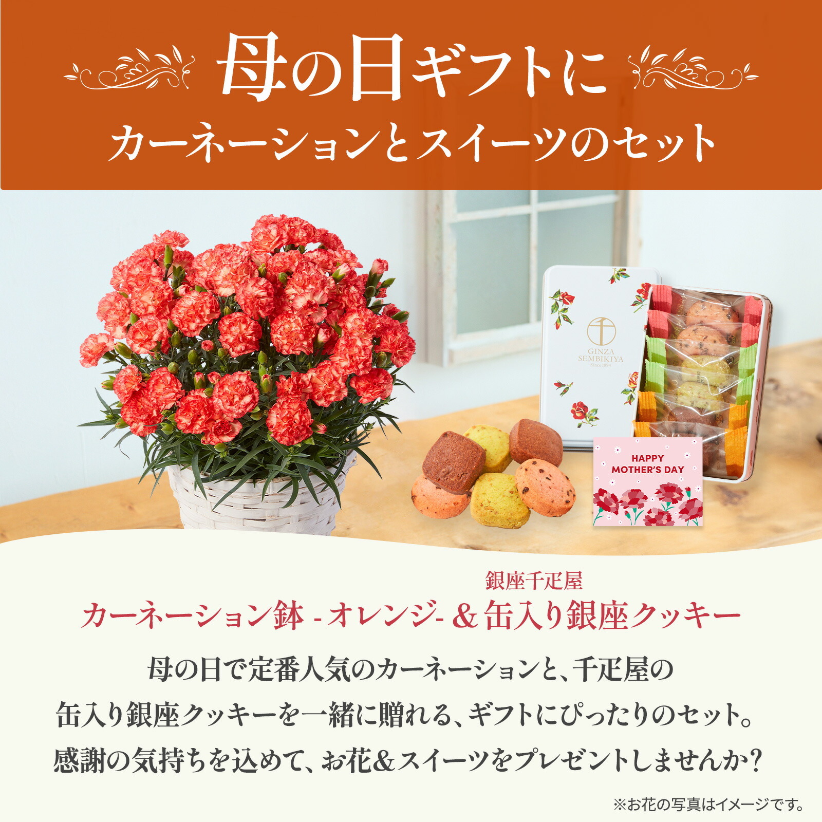 鉢植え カーネーション オレンジ(テキーラ) と 銀座千疋屋クッキー のセット【母の日カード付き】