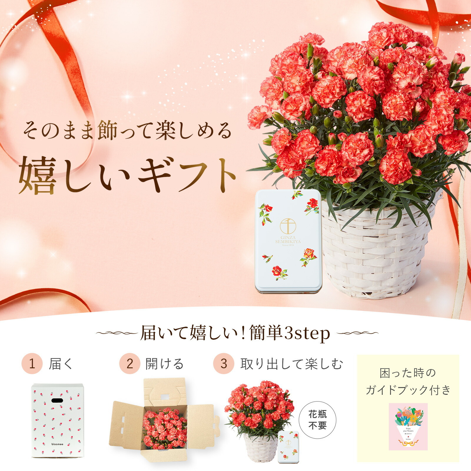 鉢植え カーネーション オレンジ(テキーラ) と 銀座千疋屋クッキー のセット【母の日カード付き】