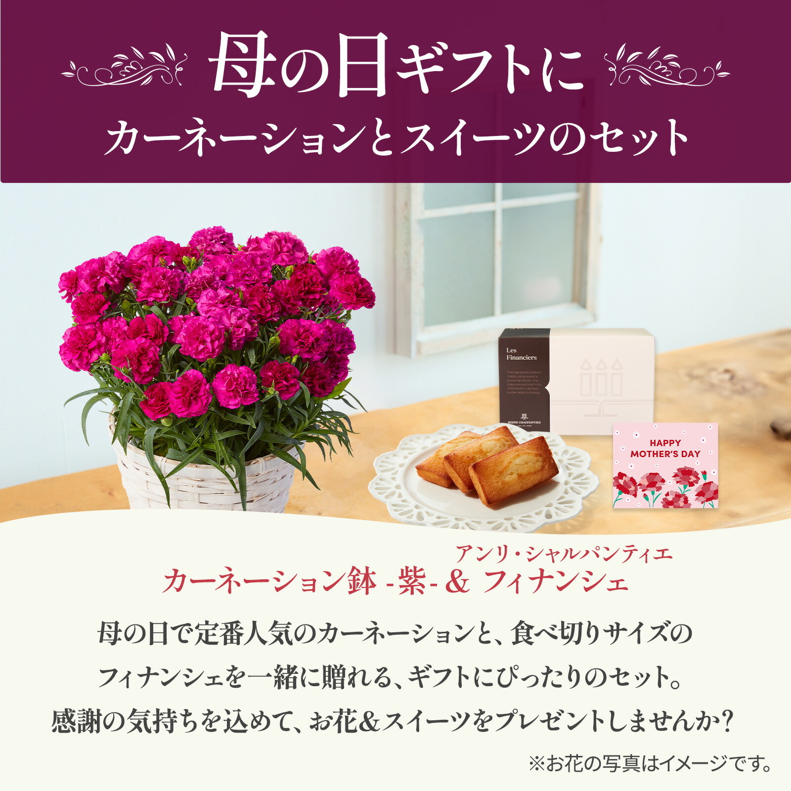 鉢植え カーネーション 紫色(ムジカ)と アンリ・シャルパンティエ フィナンシェ のセット【母の日カード付き】