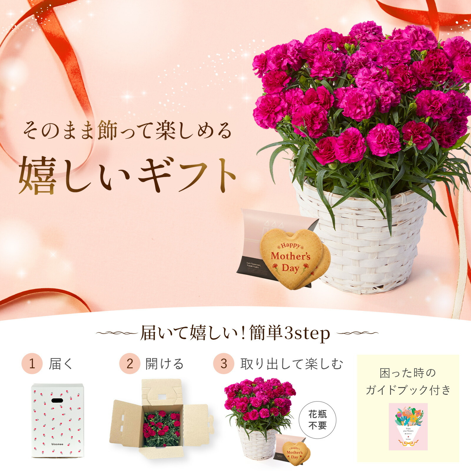 鉢植え カーネーション 紫色(ムジカ) と アンリ・シャルパンティエ しあわせサブレ のセット【母の日カード付き】