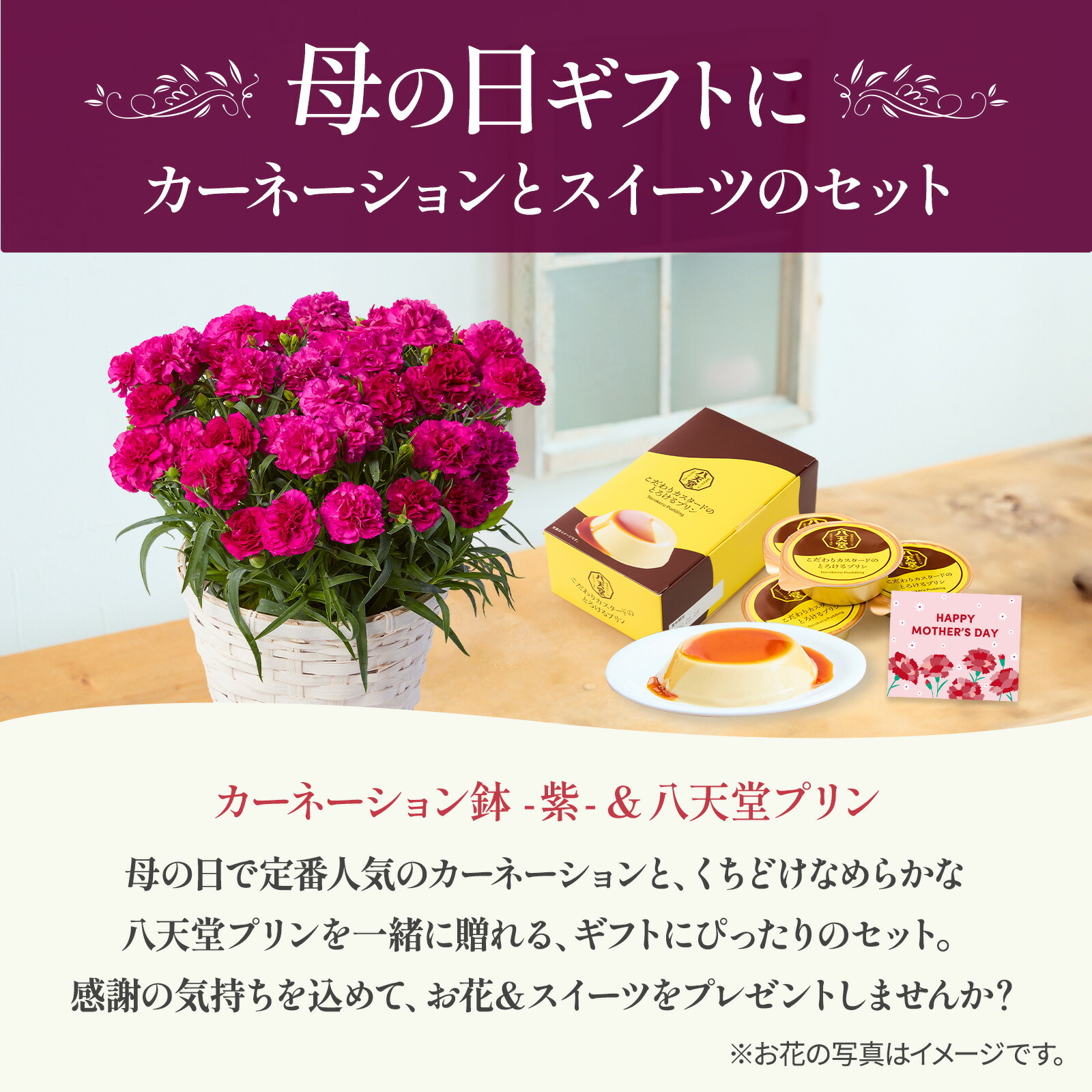 鉢植え カーネーション 紫色(ムジカ) と 八天堂プリン のセット【母の日カード付き】