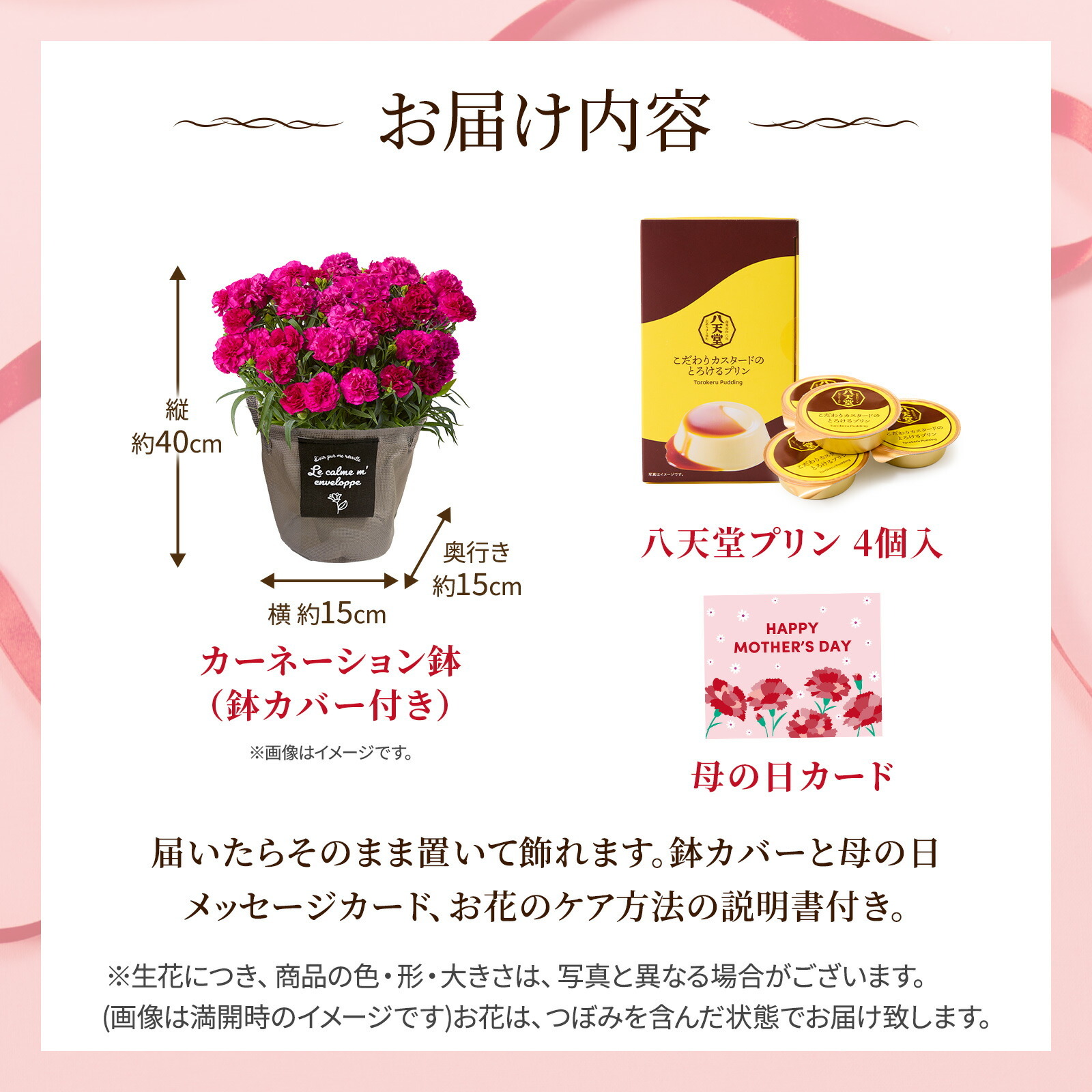 鉢植え カーネーション 紫色(ムジカ) と 八天堂プリン のセット【母の日カード付き】