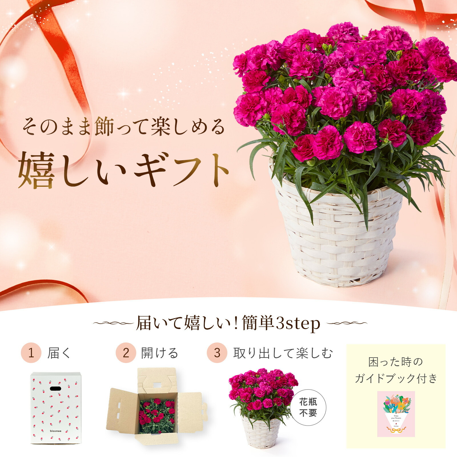 鉢植え カーネーション 紫色(ムジカ)【母の日カード付き】