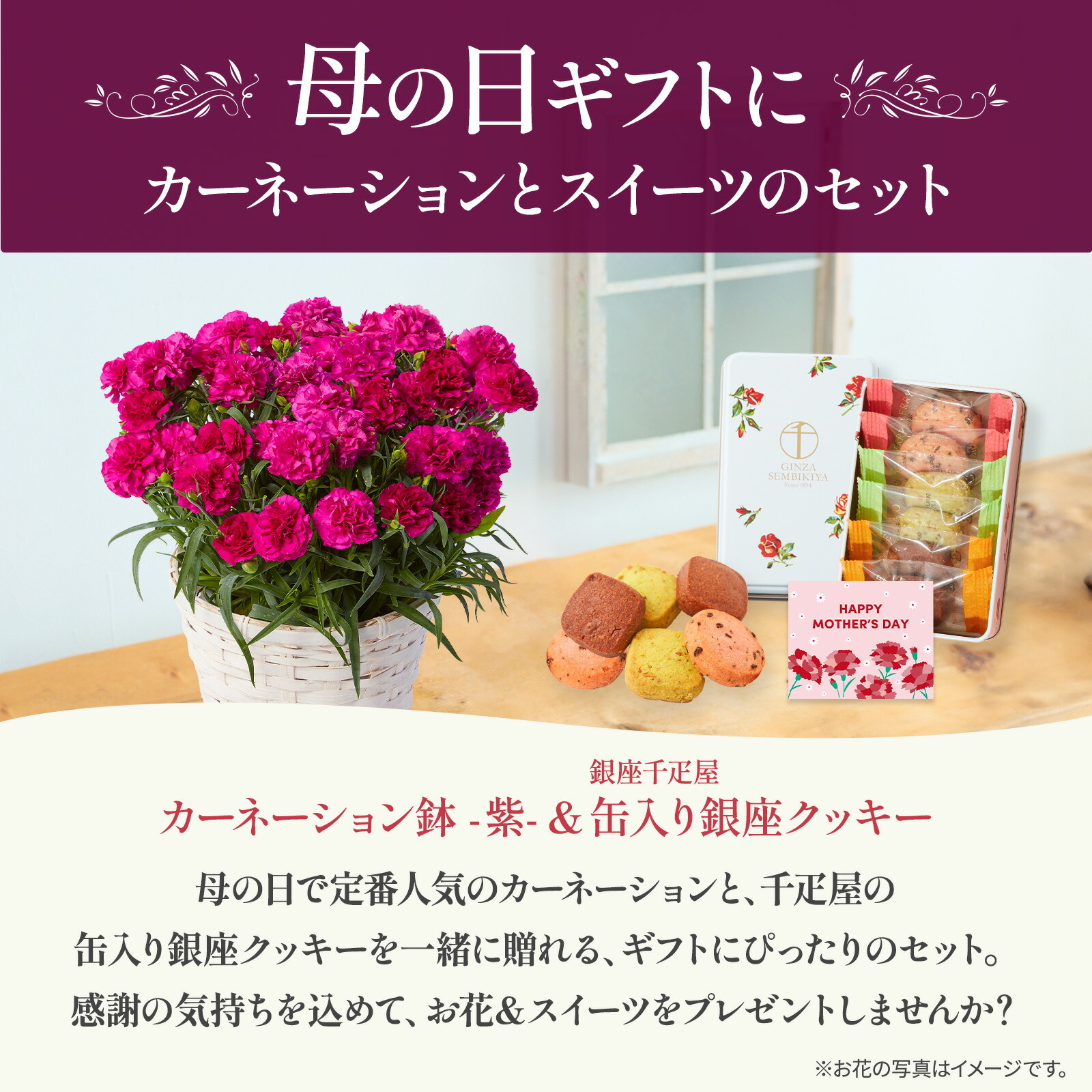 鉢植え カーネーション 紫色(ムジカ) と 銀座千疋屋クッキー のセット【母の日カード付き】