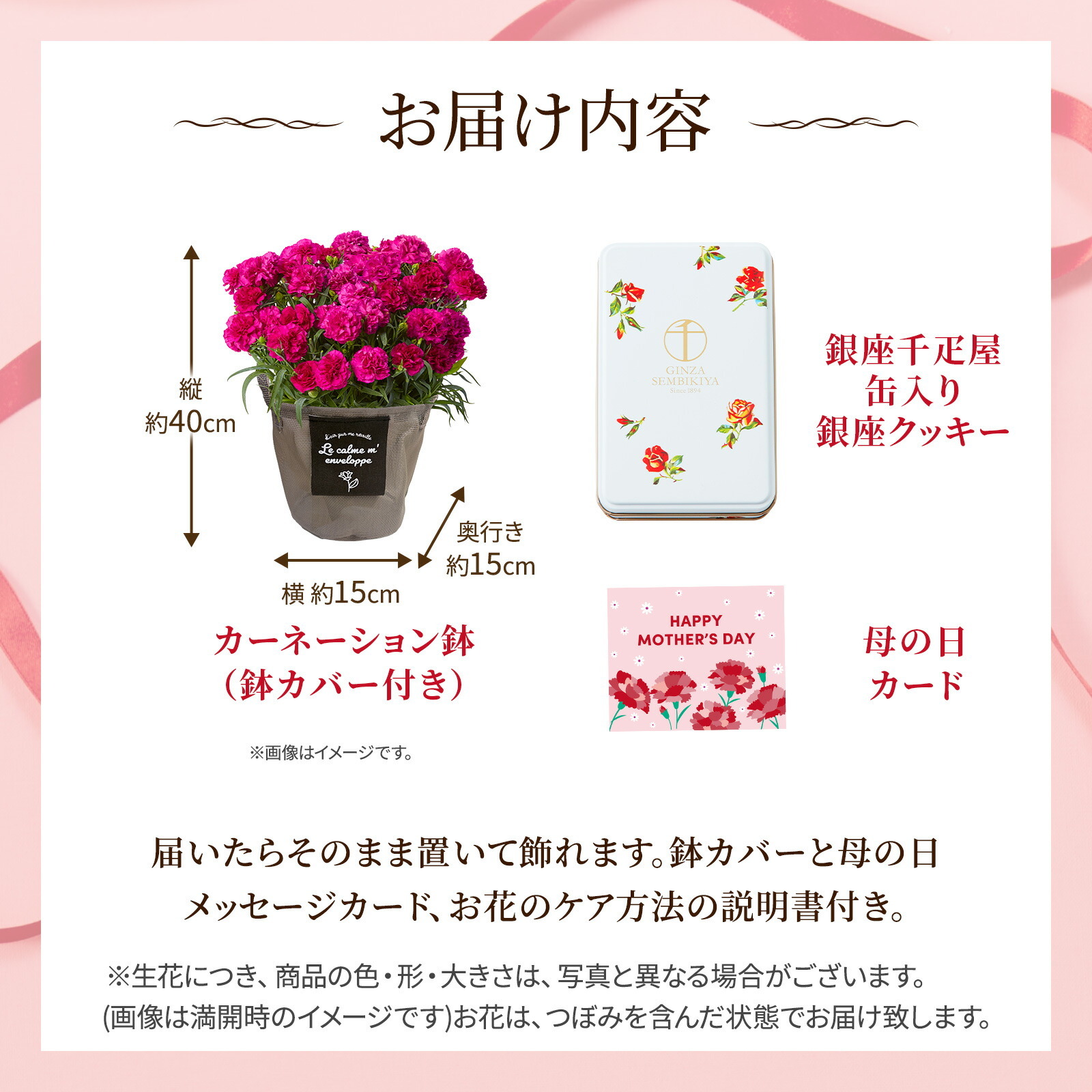 鉢植え カーネーション 紫色(ムジカ) と 銀座千疋屋クッキー のセット【母の日カード付き】