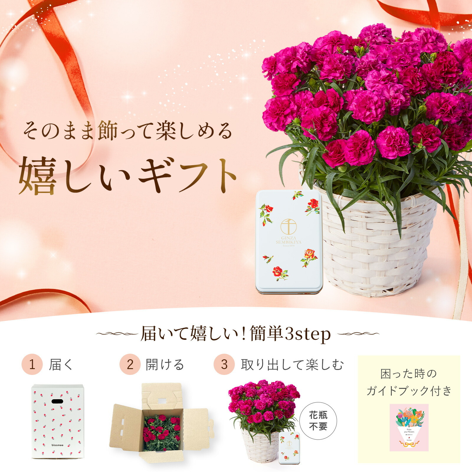 鉢植え カーネーション 紫色(ムジカ) と 銀座千疋屋クッキー のセット【母の日カード付き】