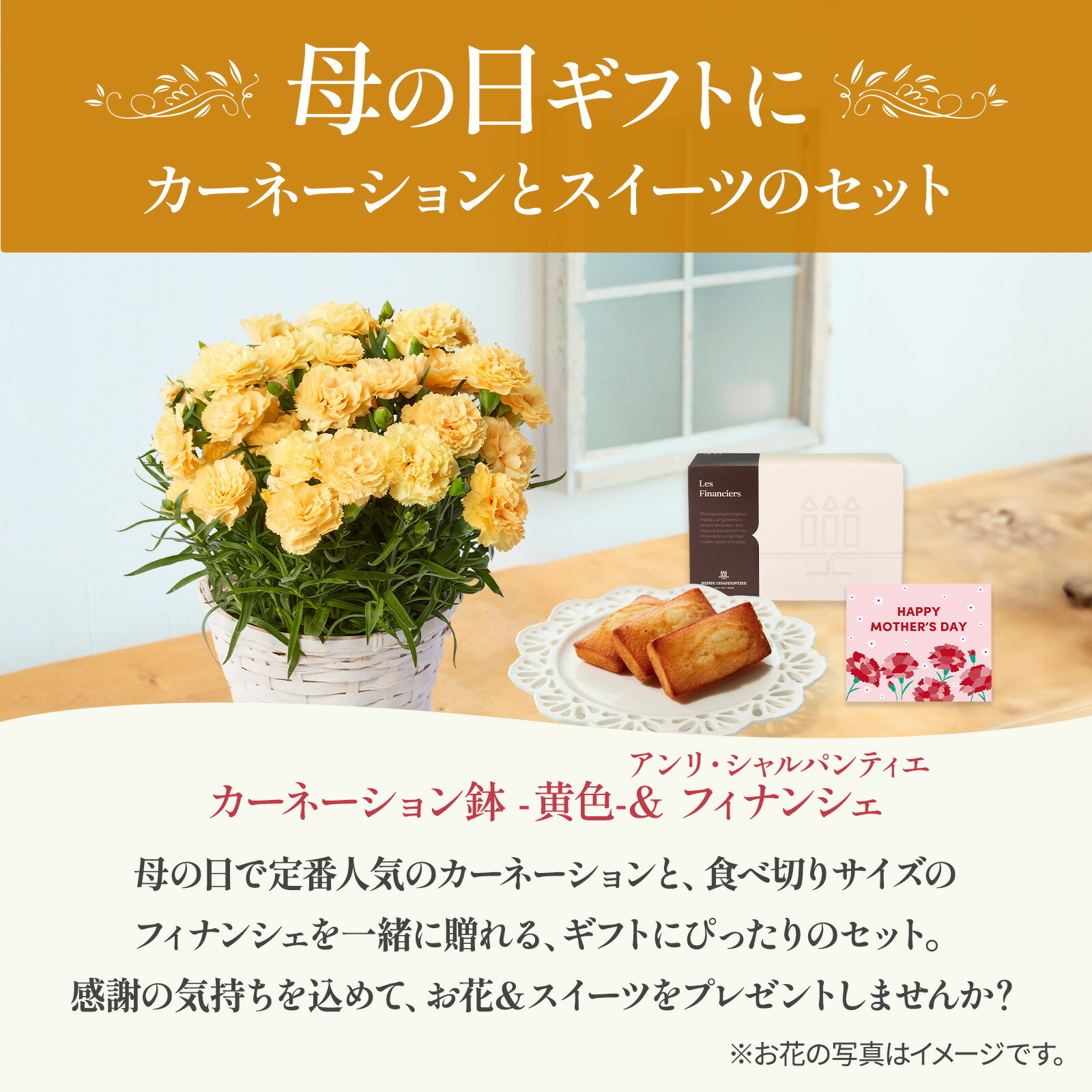 鉢植え カーネーション 黄色(ハニームーン)と アンリ・シャルパンティエ フィナンシェ のセット【母の日カード付き】