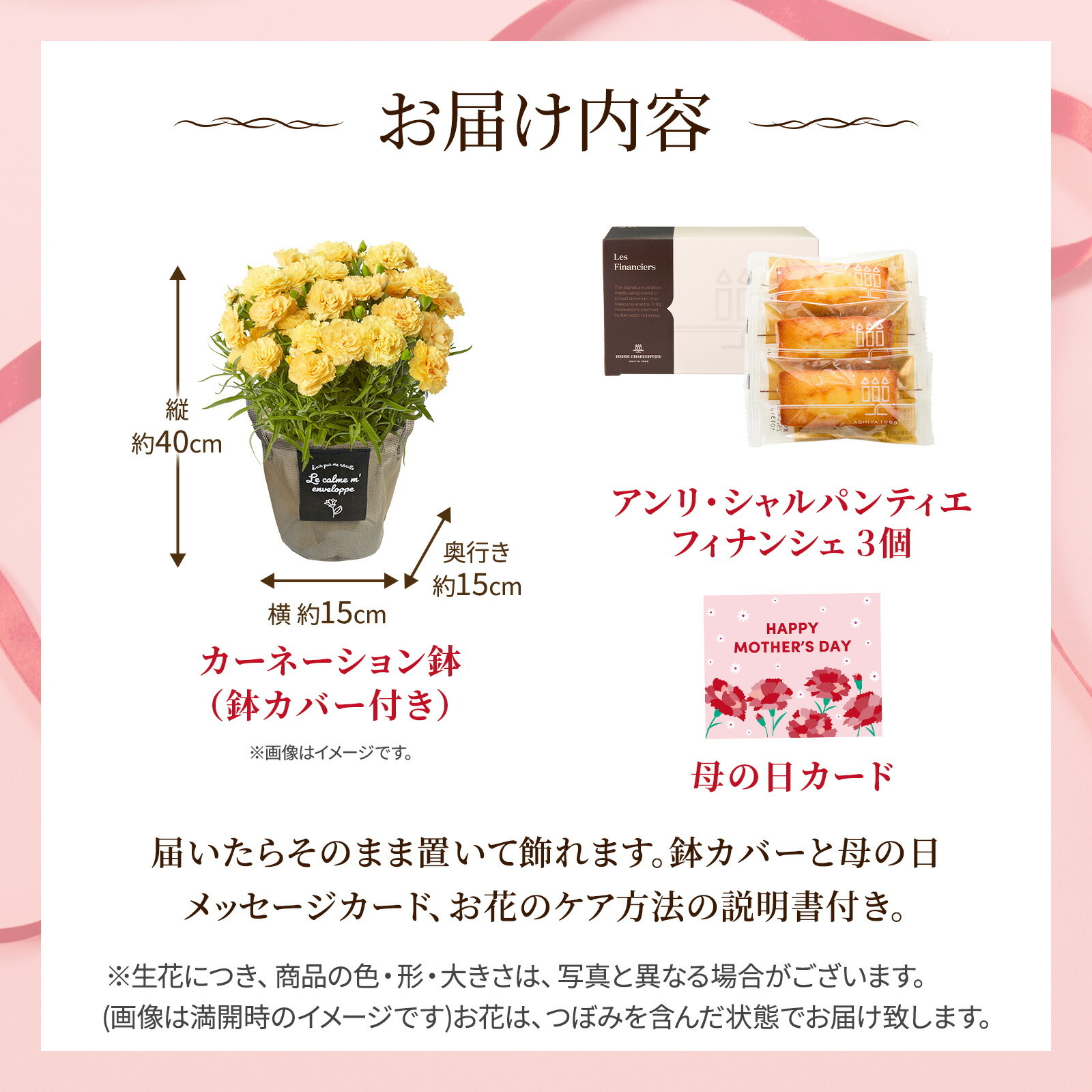 鉢植え カーネーション 黄色(ハニームーン)と アンリ・シャルパンティエ フィナンシェ のセット【母の日カード付き】