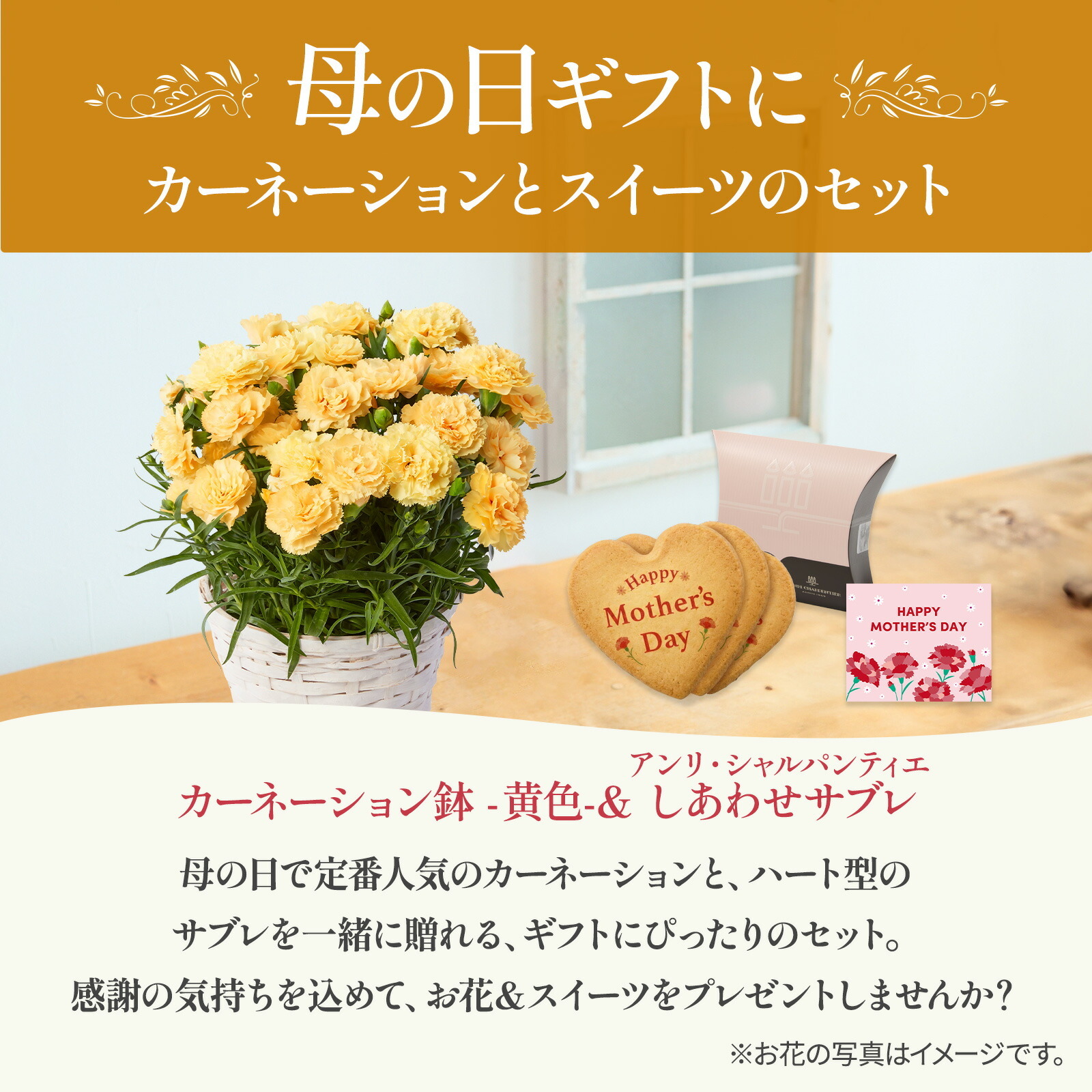 鉢植え カーネーション 黄色(ハニームーン) と アンリ・シャルパンティエ しあわせサブレ のセット【母の日カード付き】