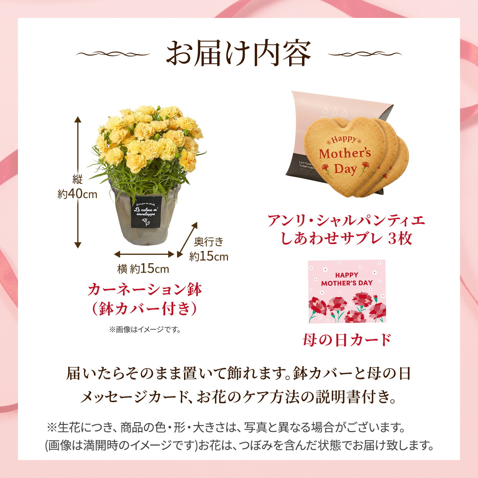 鉢植え カーネーション 黄色(ハニームーン) と アンリ・シャルパンティエ しあわせサブレ のセット【母の日カード付き】
