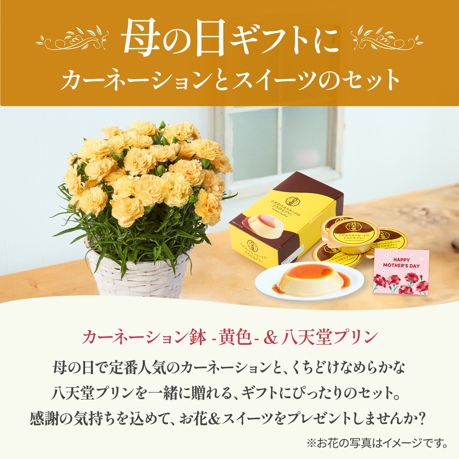 鉢植え カーネーション 黄色(ハニームーン) と 八天堂プリン のセット【母の日カード付き】
