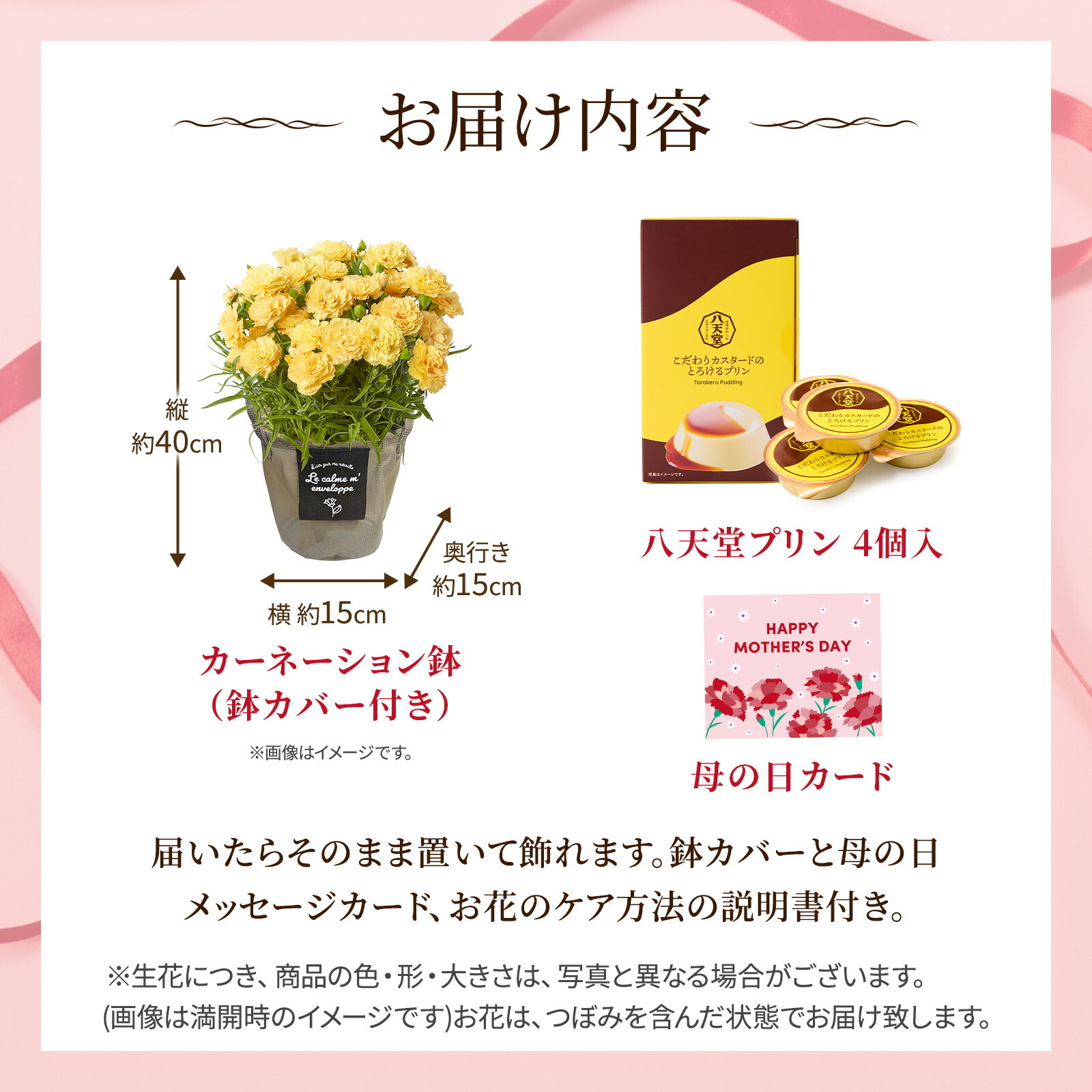 鉢植え カーネーション 黄色(ハニームーン) と 八天堂プリン のセット【母の日カード付き】
