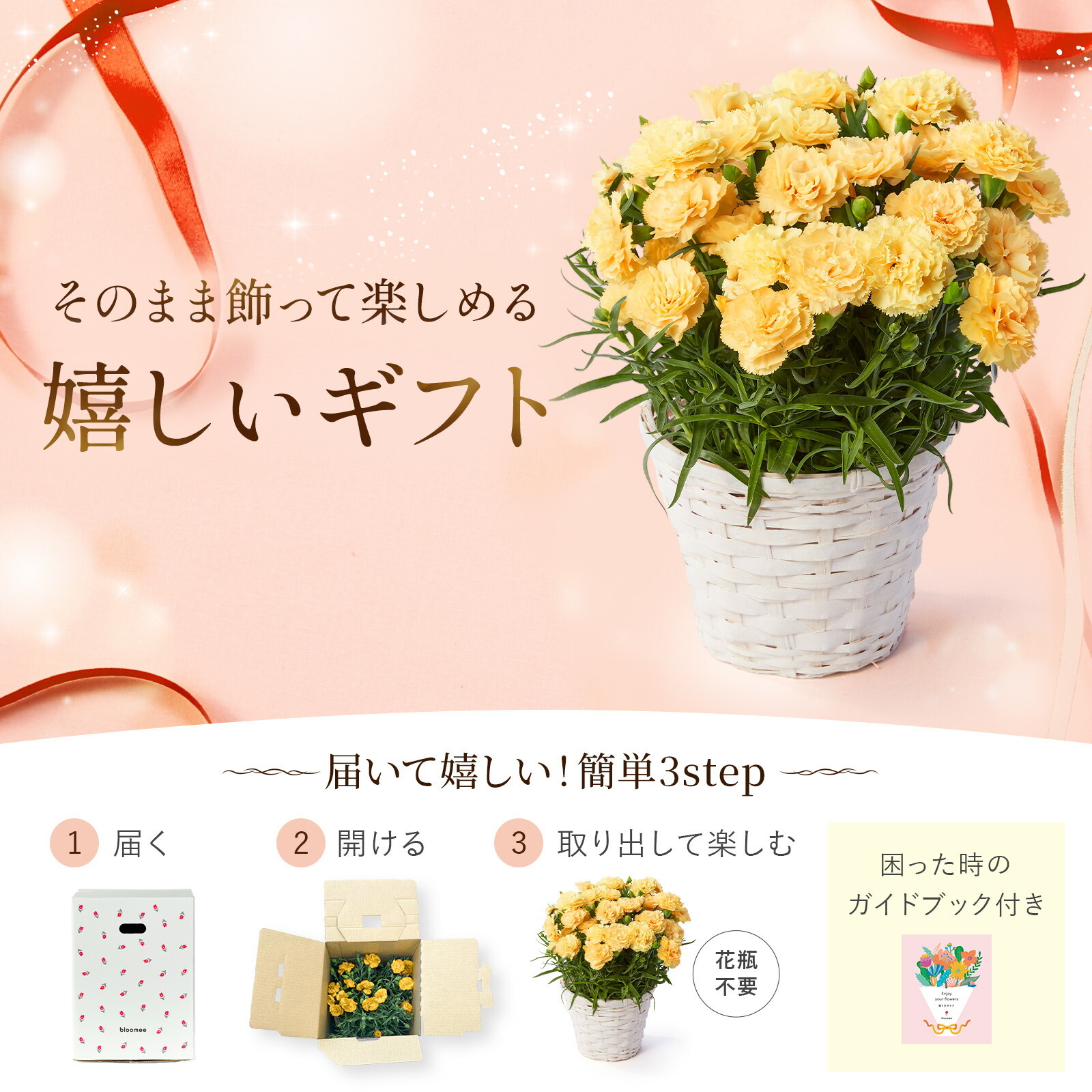 鉢植え カーネーション 黄色(ハニームーン)【母の日カード付き】