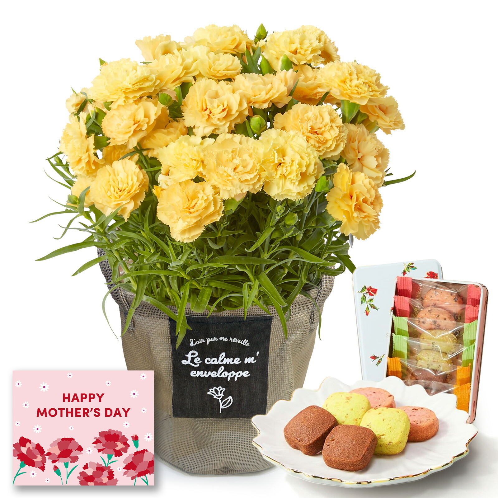 鉢植え カーネーション 黄色(ハニームーン) と 銀座千疋屋クッキー のセット【母の日カード付き】