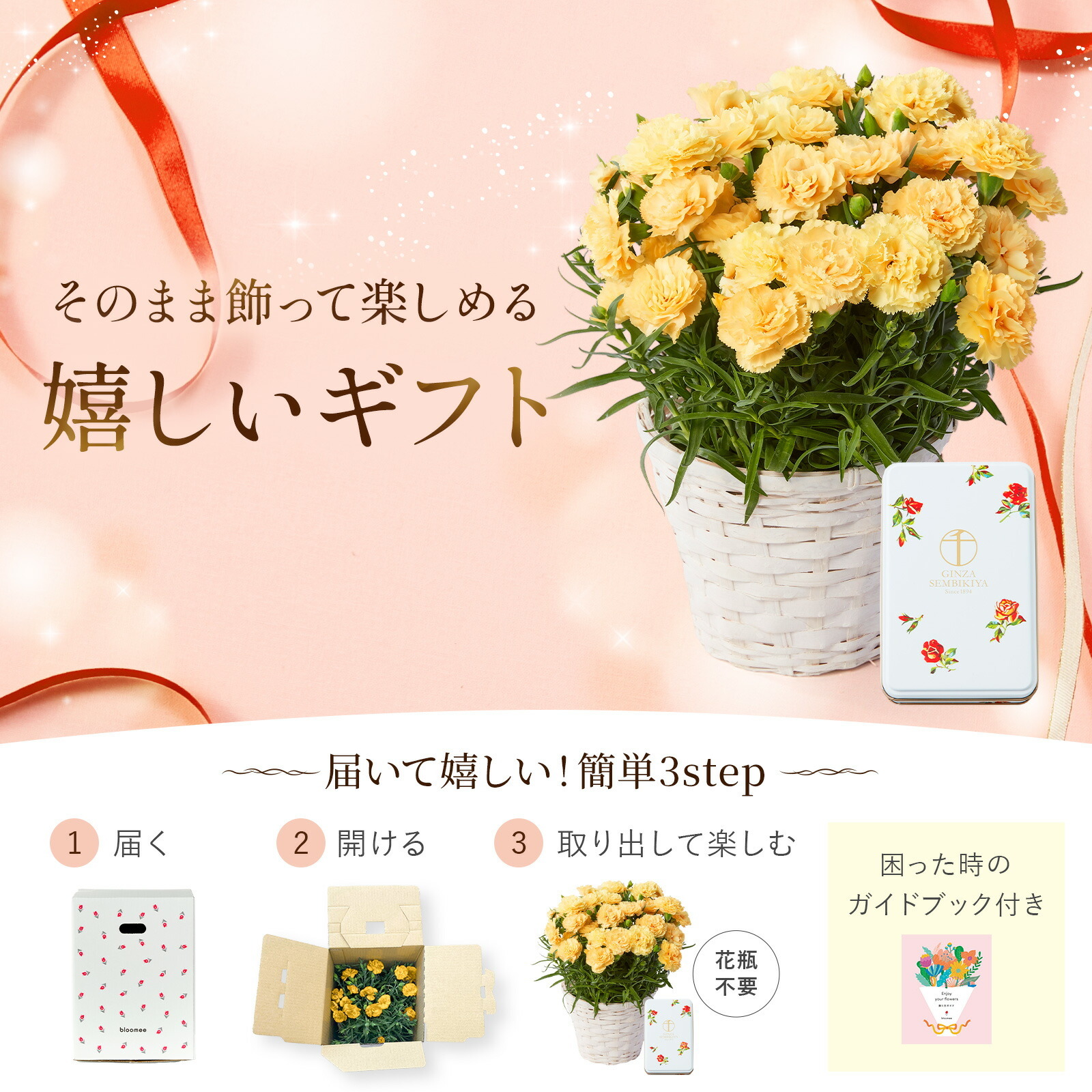 鉢植え カーネーション 黄色(ハニームーン) と 銀座千疋屋クッキー のセット【母の日カード付き】
