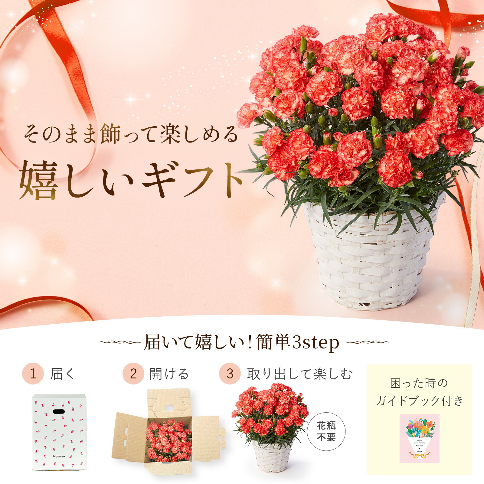 鉢植え カーネーション オレンジ(テキーラ)【母の日カード付き】