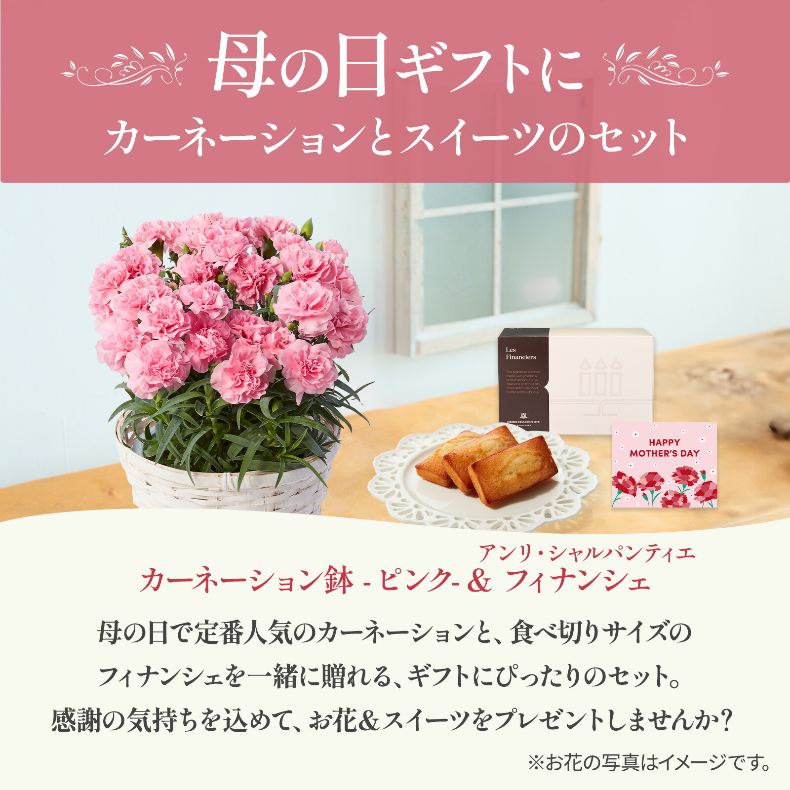 鉢植え カーネーション ピンク(クレア) と アンリ・シャルパンティエ フィナンシェ のセット【母の日カード付き】