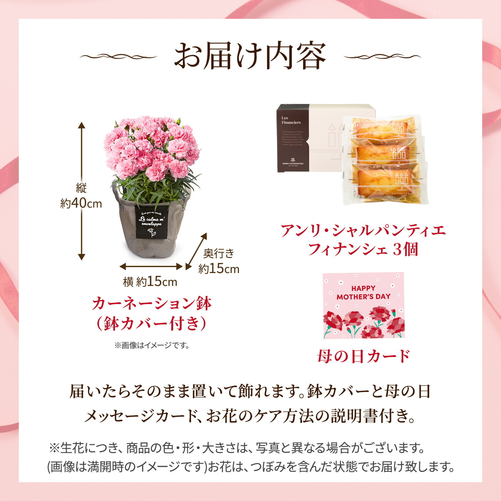 鉢植え カーネーション ピンク(クレア) と アンリ・シャルパンティエ フィナンシェ のセット【母の日カード付き】