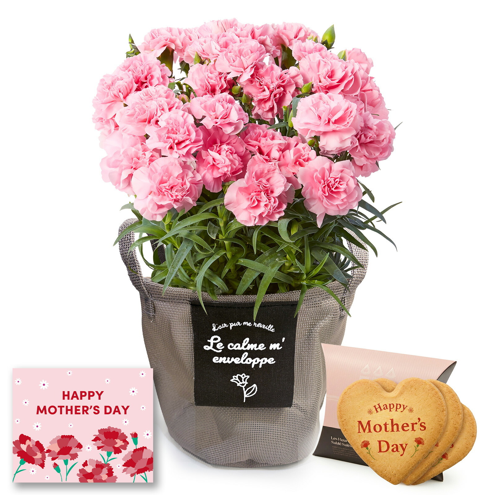 鉢植え カーネーション ピンク(クレア) と アンリ・シャルパンティエ しあわせサブレ のセット【母の日カード付き】