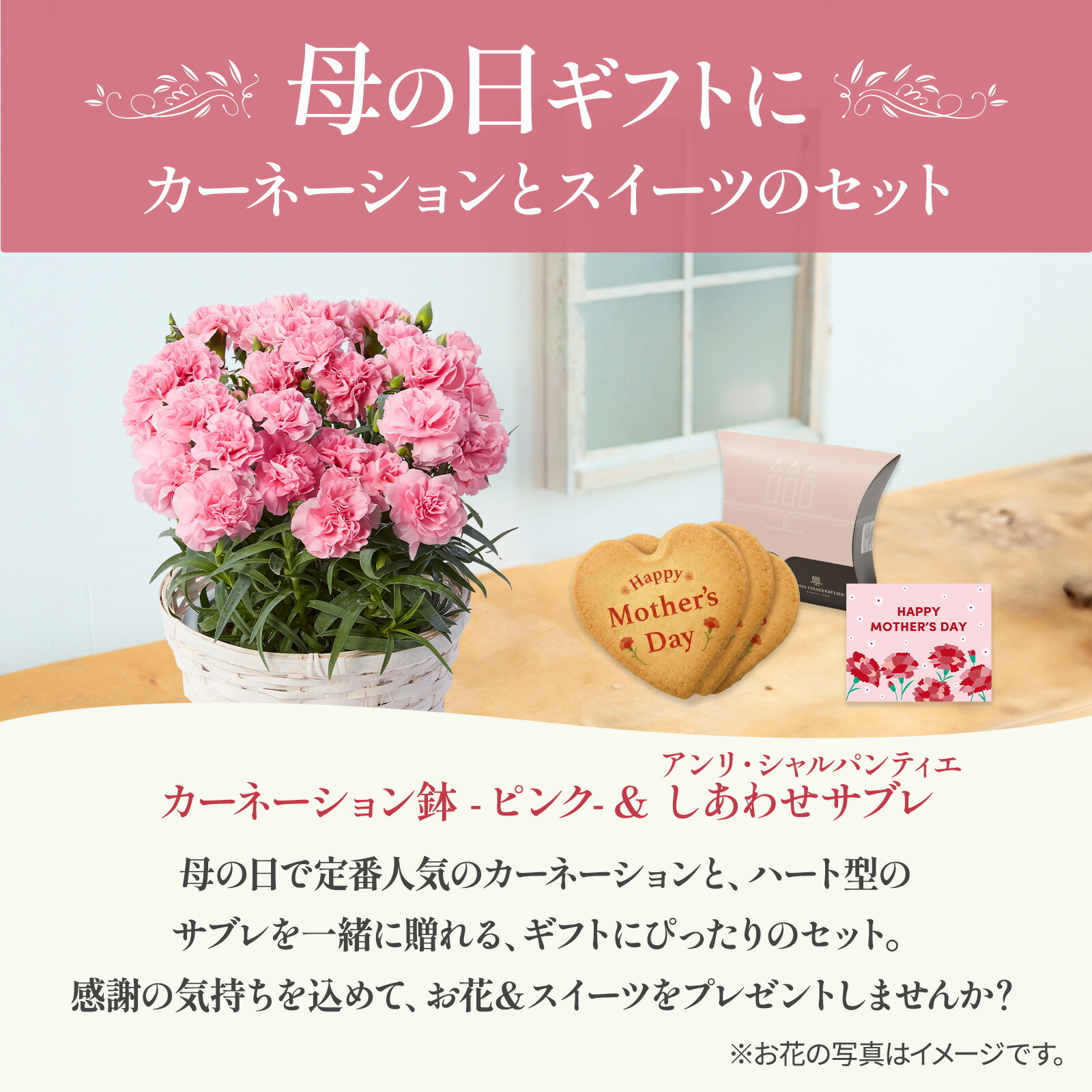 鉢植え カーネーション ピンク(クレア) と アンリ・シャルパンティエ しあわせサブレ のセット【母の日カード付き】