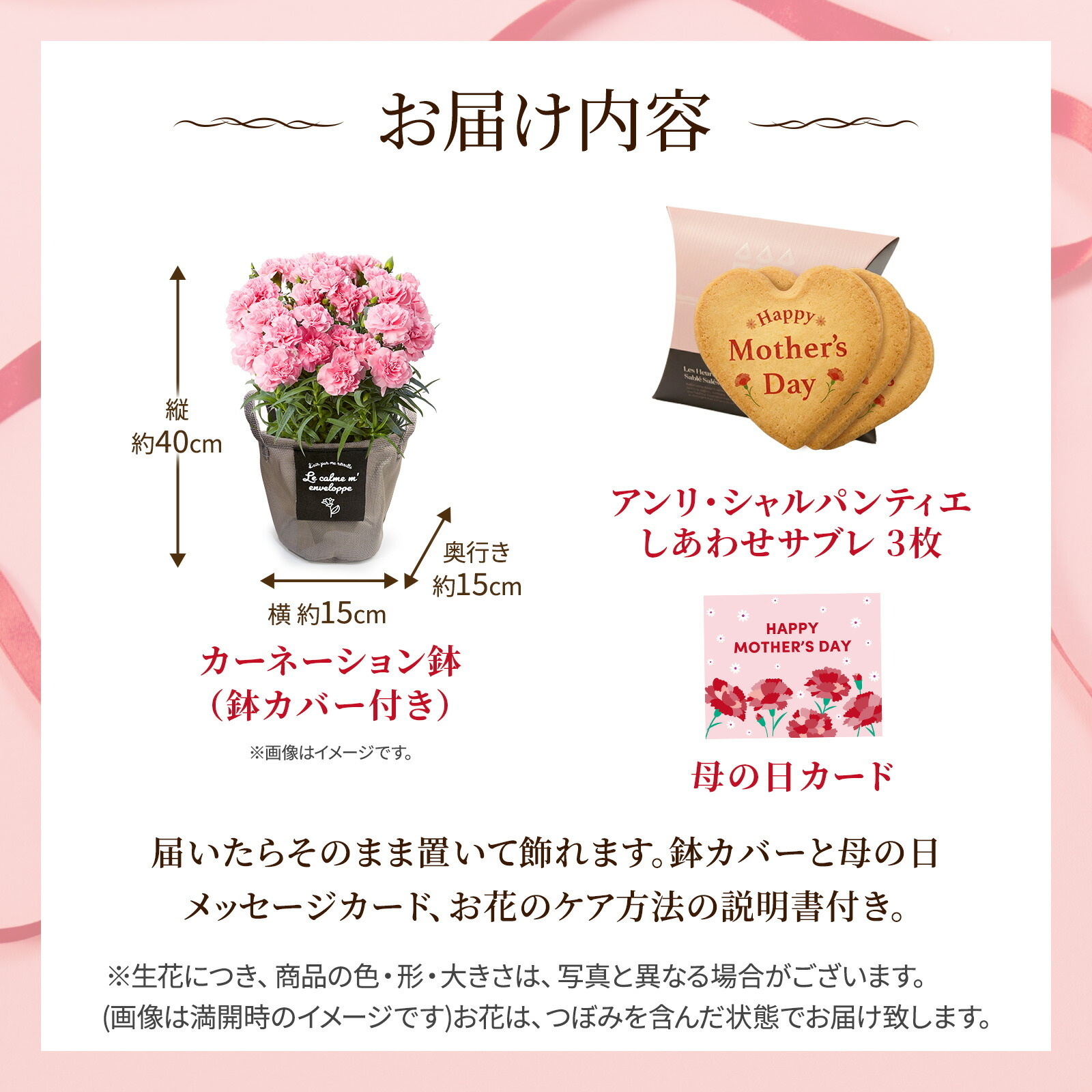 鉢植え カーネーション ピンク(クレア) と アンリ・シャルパンティエ しあわせサブレ のセット【母の日カード付き】