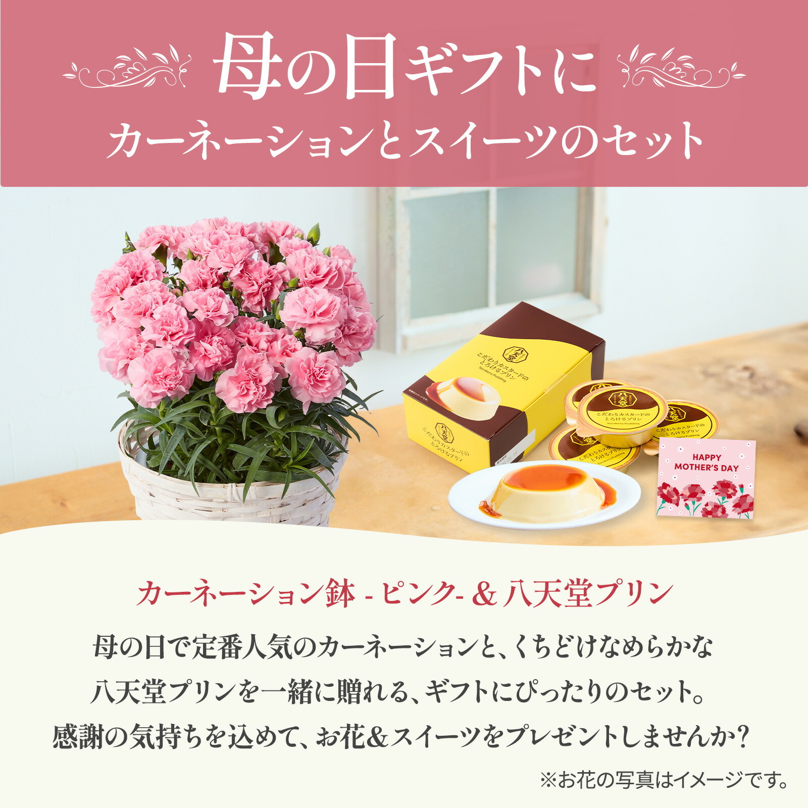 鉢植え カーネーション ピンク(クレア) と 八天堂プリン のセット【母の日カード付き】
