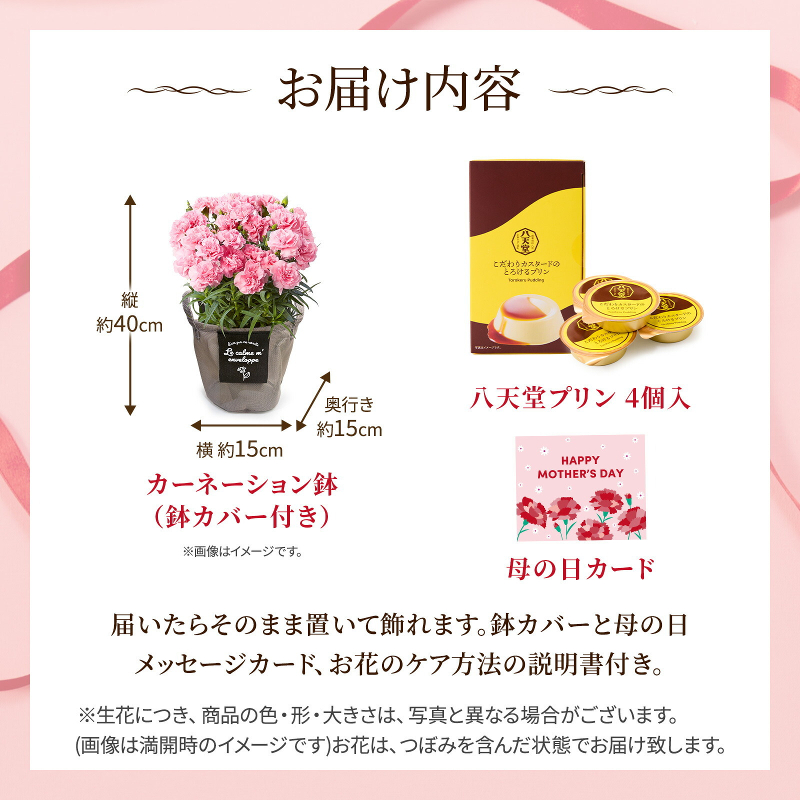 鉢植え カーネーション ピンク(クレア) と 八天堂プリン のセット【母の日カード付き】