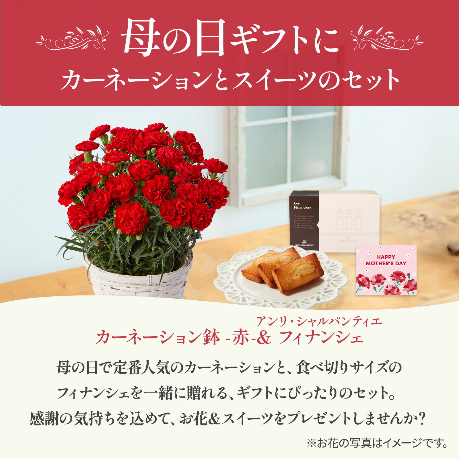 鉢植え カーネーション 赤色と アンリ・シャルパンティエ フィナンシェ のセット【母の日カード付き】
