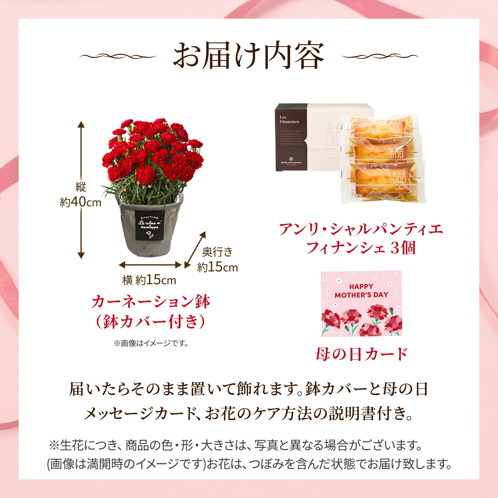 鉢植え カーネーション 赤色と アンリ・シャルパンティエ フィナンシェ のセット【母の日カード付き】