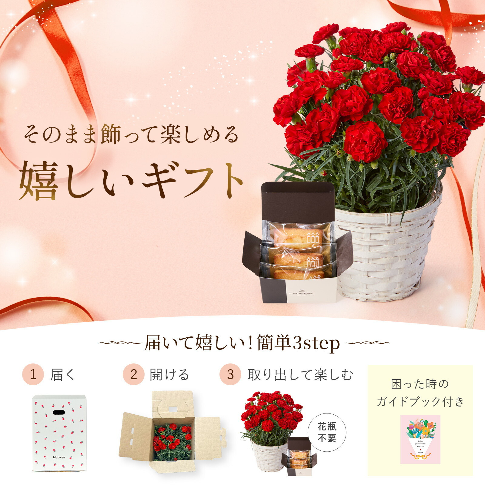 鉢植え カーネーション 赤色と アンリ・シャルパンティエ フィナンシェ のセット【母の日カード付き】