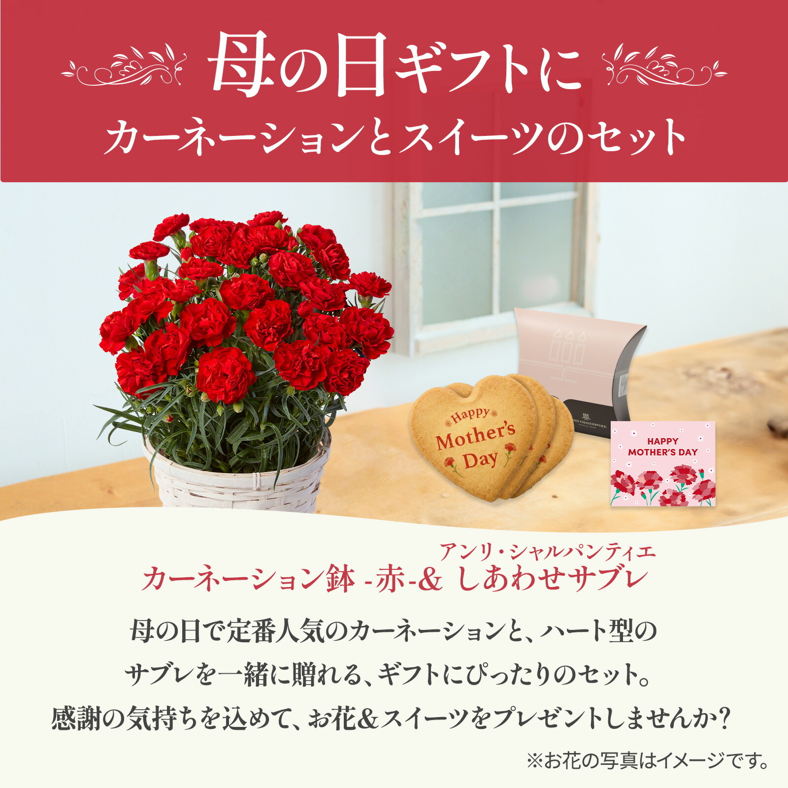 鉢植え カーネーション 赤色 と アンリ・シャルパンティエ しあわせサブレ のセット【母の日カード付き】