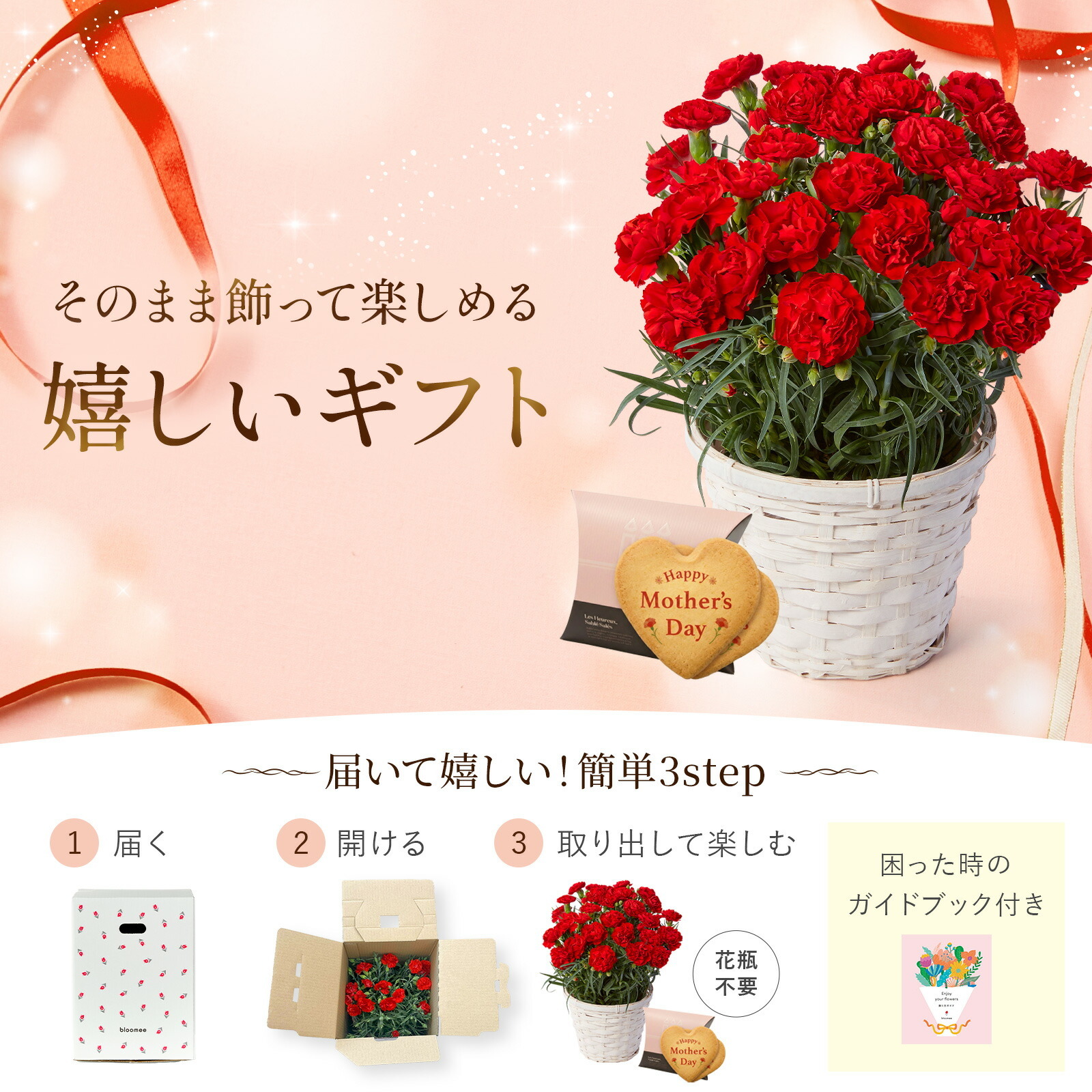 鉢植え カーネーション 赤色 と アンリ・シャルパンティエ しあわせサブレ のセット【母の日カード付き】