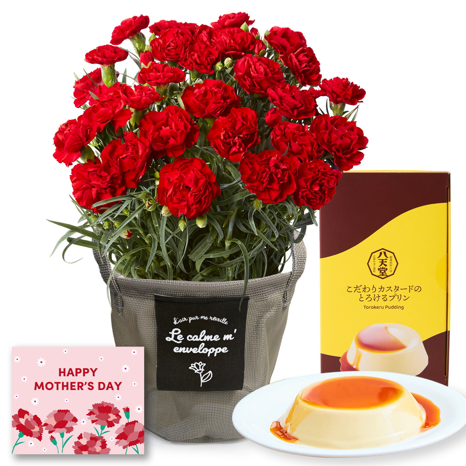 鉢植え カーネーション 赤色 と 八天堂プリン のセット【母の日カード付き】
