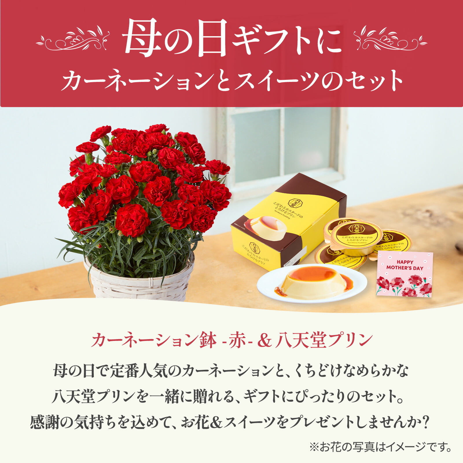 鉢植え カーネーション 赤色 と 八天堂プリン のセット【母の日カード付き】