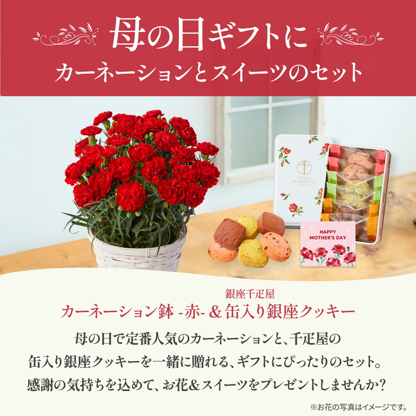 鉢植え カーネーション 赤色 と 銀座千疋屋クッキー のセット【母の日カード付き】