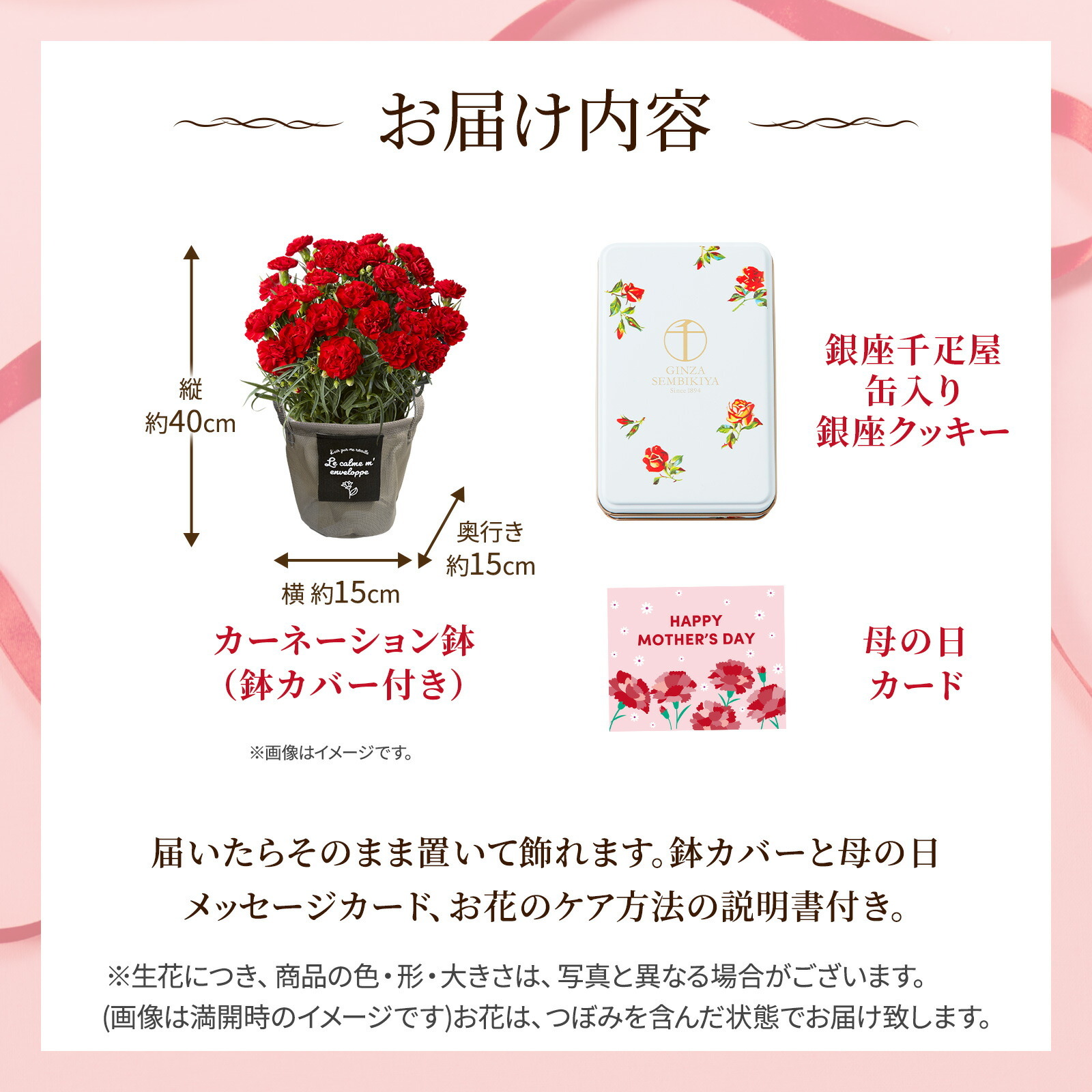 鉢植え カーネーション 赤色 と 銀座千疋屋クッキー のセット【母の日カード付き】