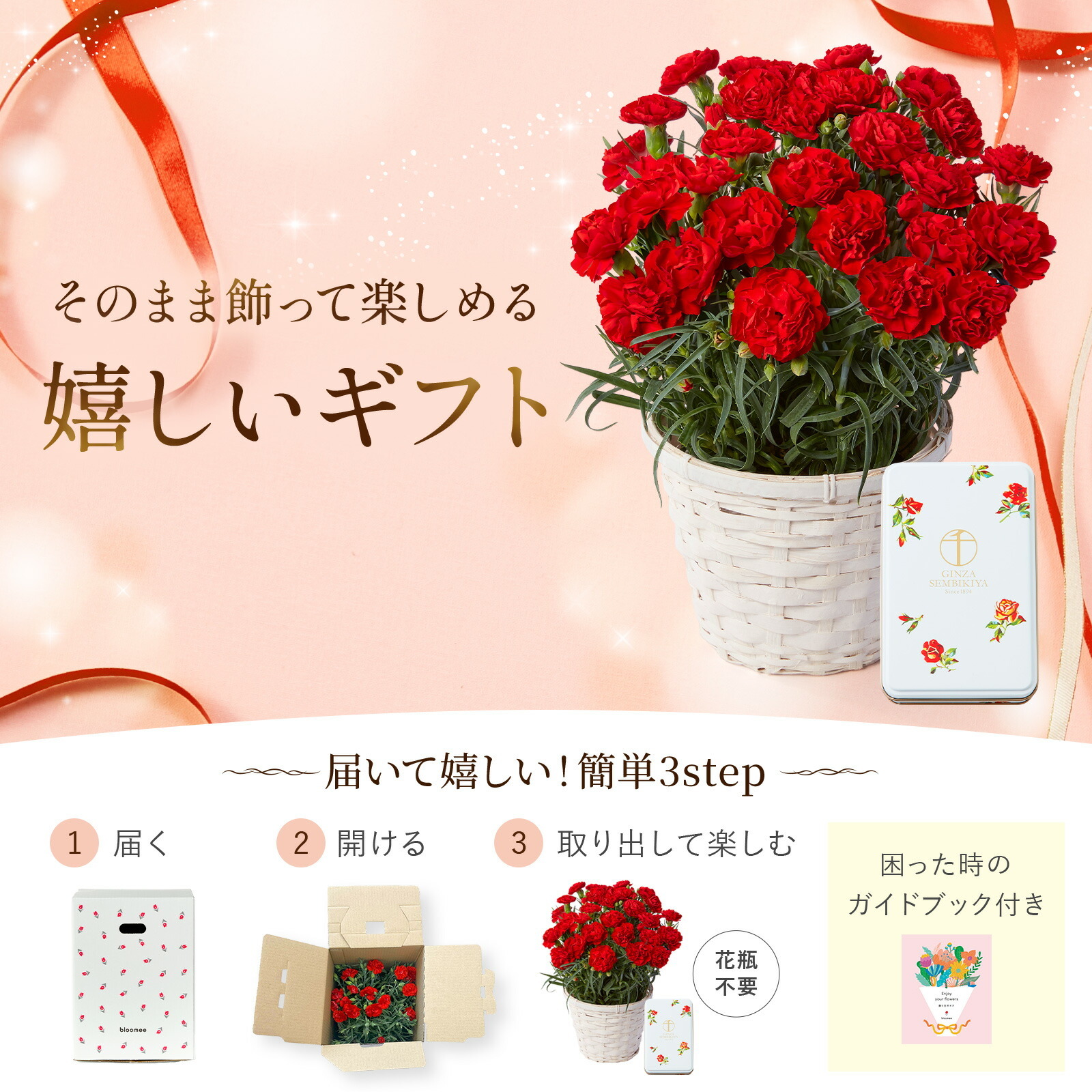 鉢植え カーネーション 赤色 と 銀座千疋屋クッキー のセット【母の日カード付き】