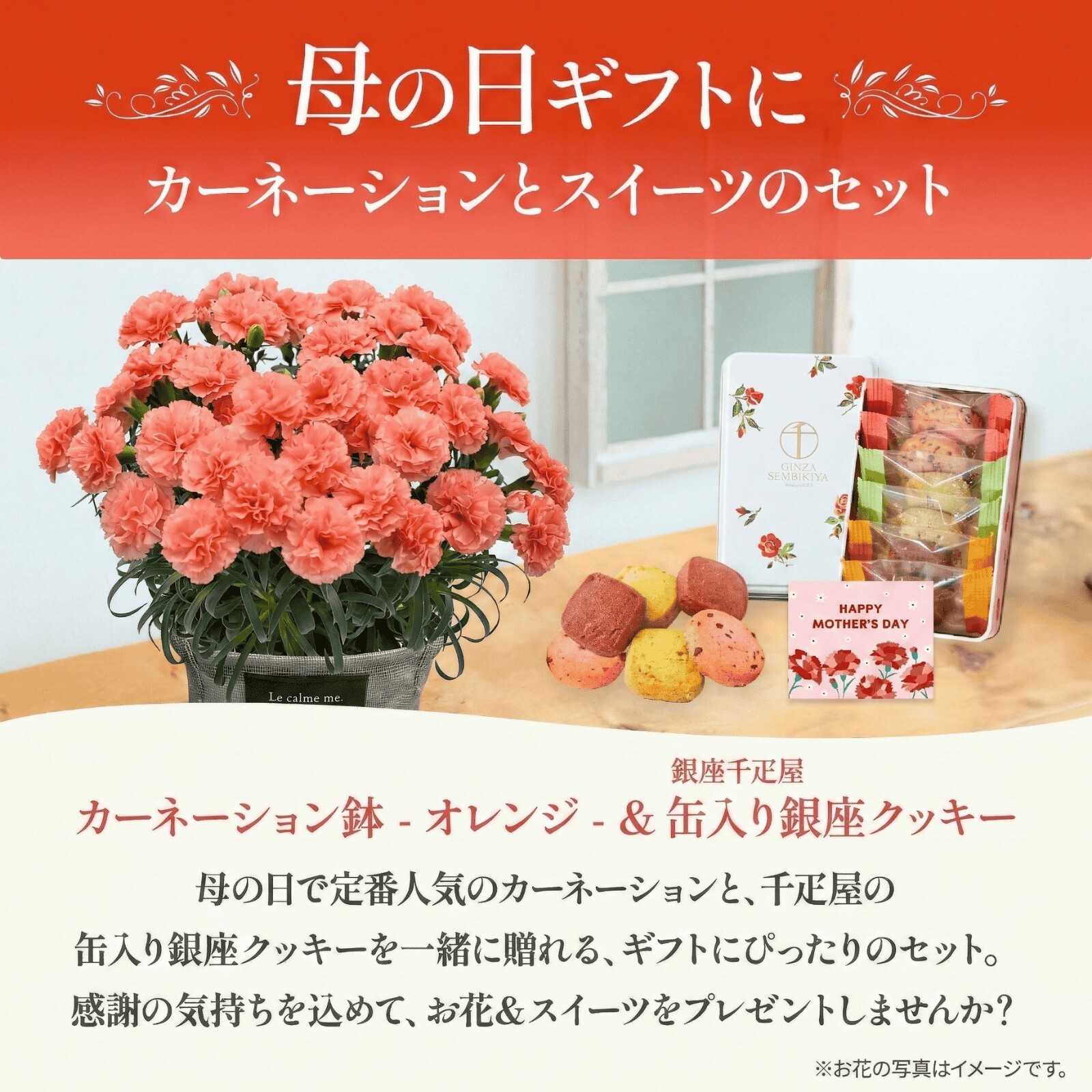 鉢植え カーネーション オレンジ(メープルシフォン)と 銀座千疋屋クッキー のセット【母の日カード付き】