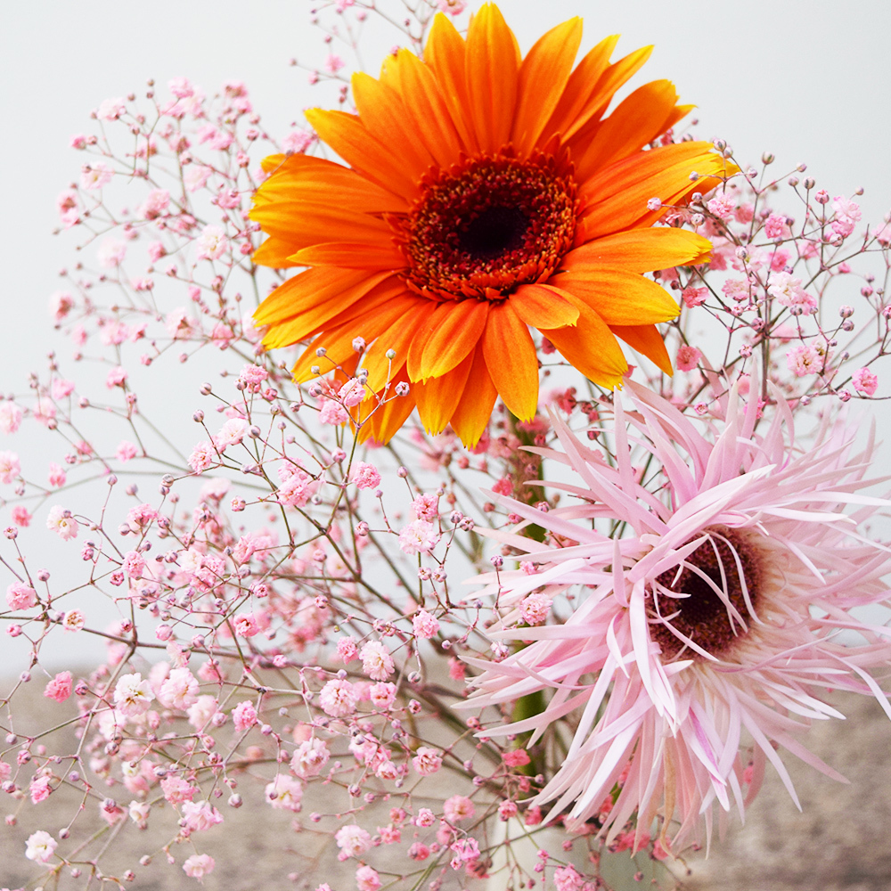 【草月流×ブルーミー】夏花火 - 季節限定商品（花瓶付き）