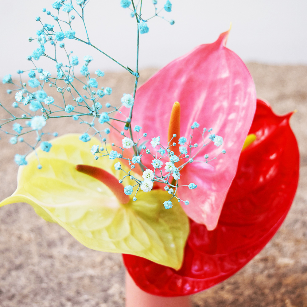 【草月流×ブルーミー】水雲 - 季節限定商品（花瓶付き）