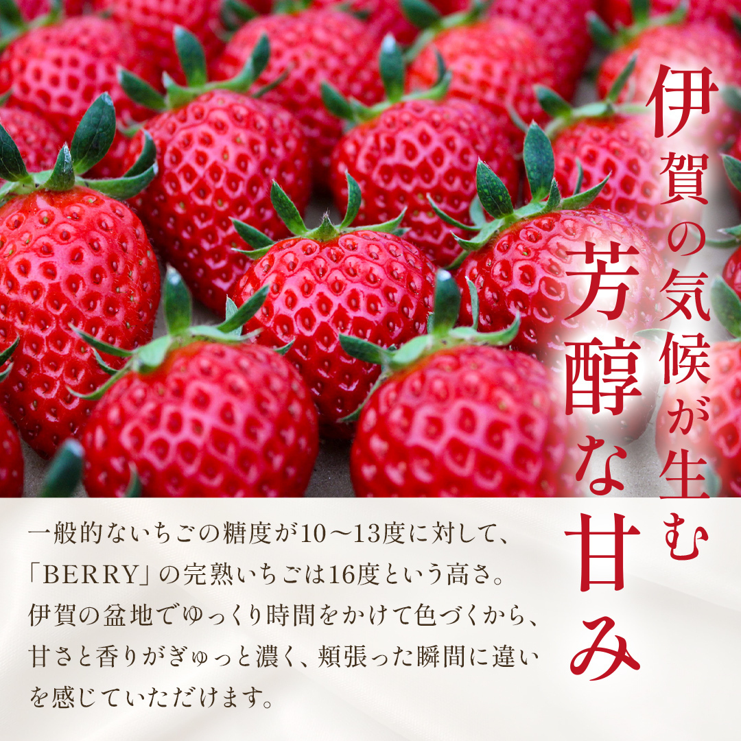 【3/29(日)まで】旬の完熟いちご　赤いちごセット（250g x 2）