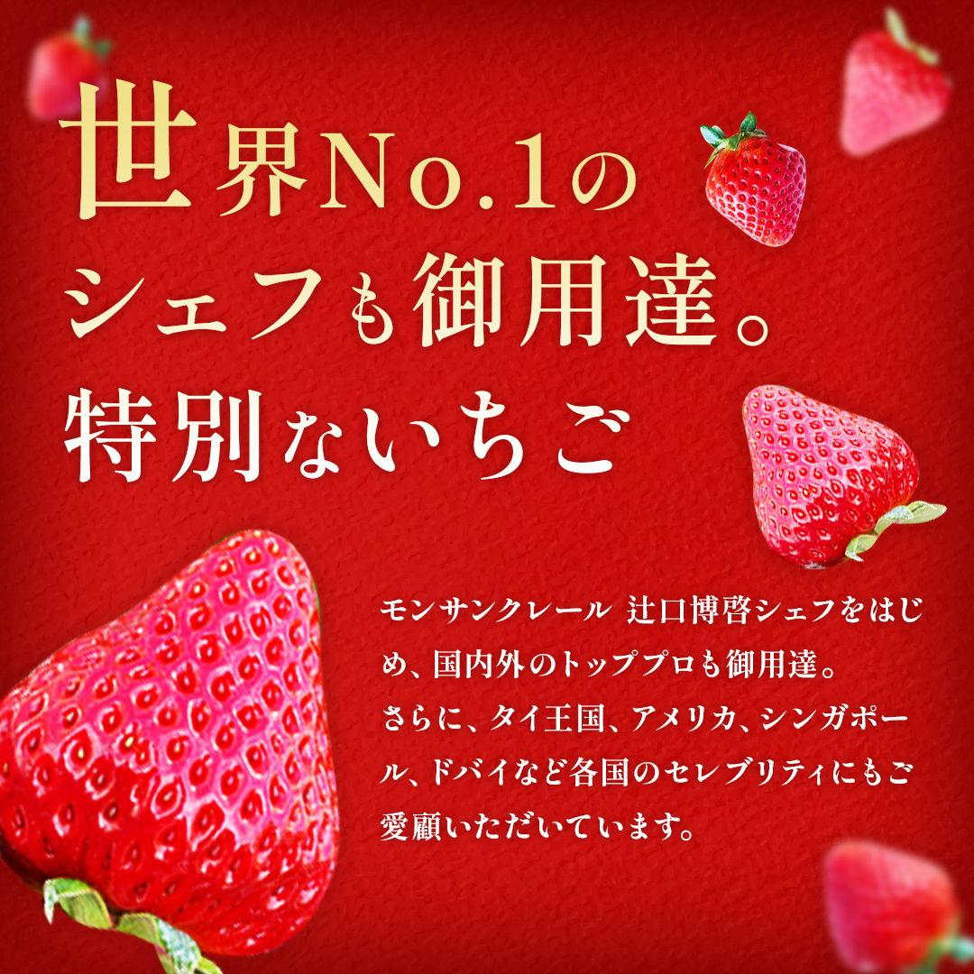 【3/29(日)まで】旬の完熟いちご　赤いちごセット（250g x 2）