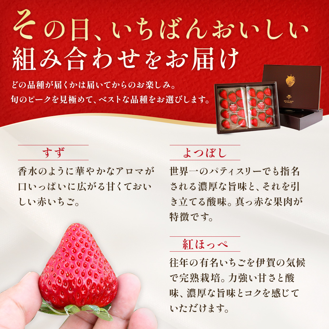 【3/29(日)まで】旬の完熟いちご　赤いちごセット（250g x 2）