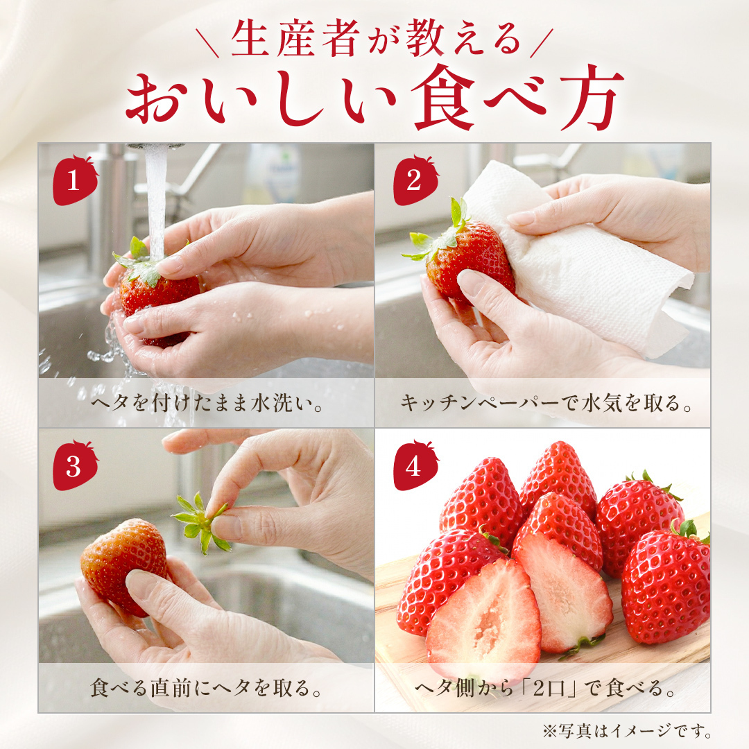 【3/29(日)まで】旬の完熟いちご　赤いちごセット（250g x 2）