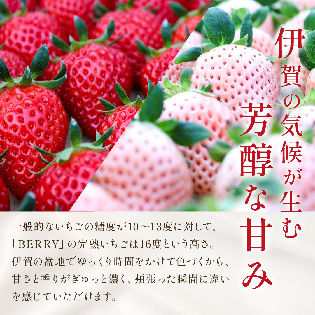 【3/29(日)まで】旬の完熟いちご　食べ比べ紅白いちごセット（250g x 2）