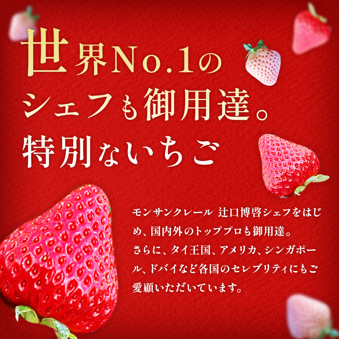 【3/29(日)まで】旬の完熟いちご　食べ比べ紅白いちごセット（250g x 2）