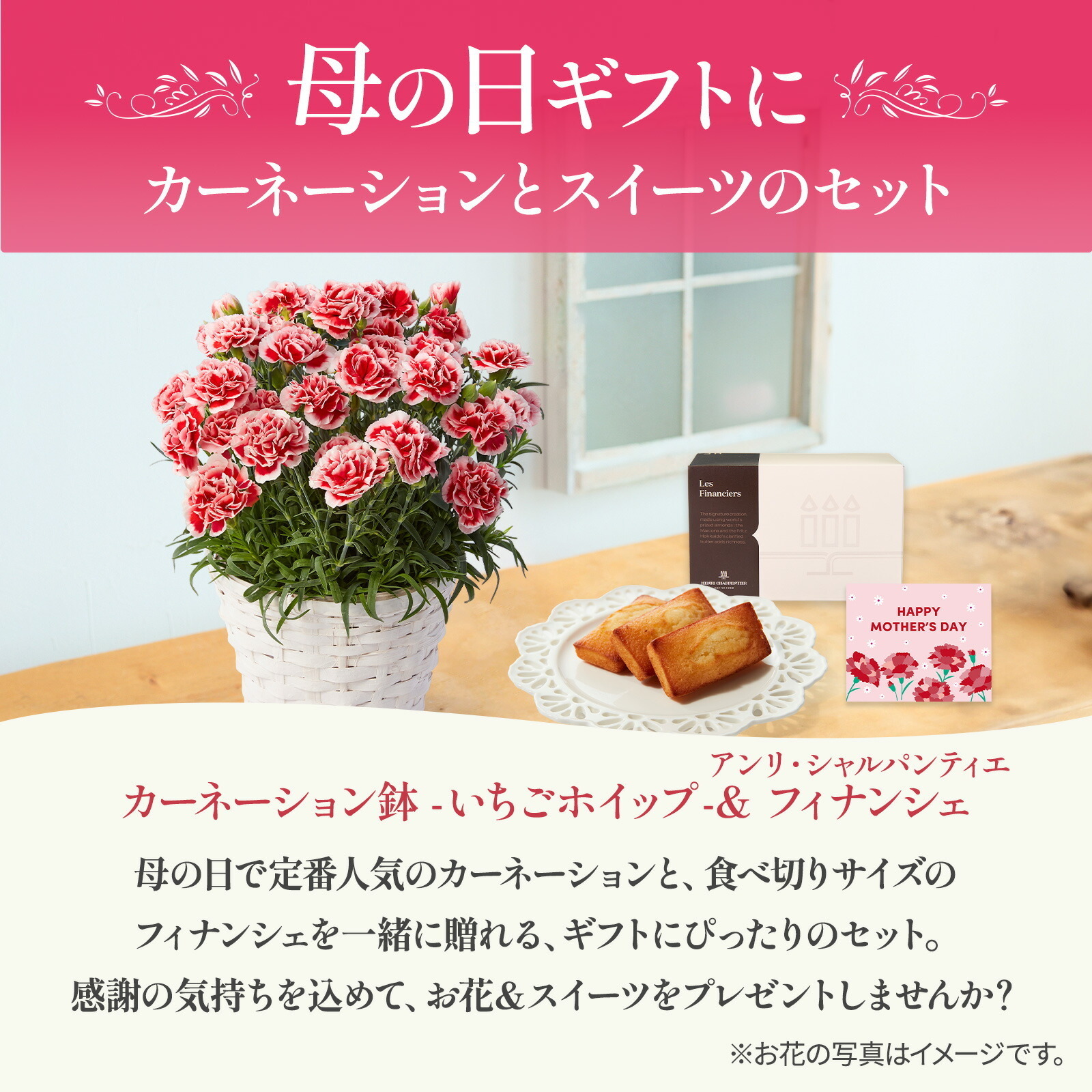 鉢植え カーネーション いちごホイップ と アンリ・シャルパンティエ フィナンシェ のセット【母の日カード付き】