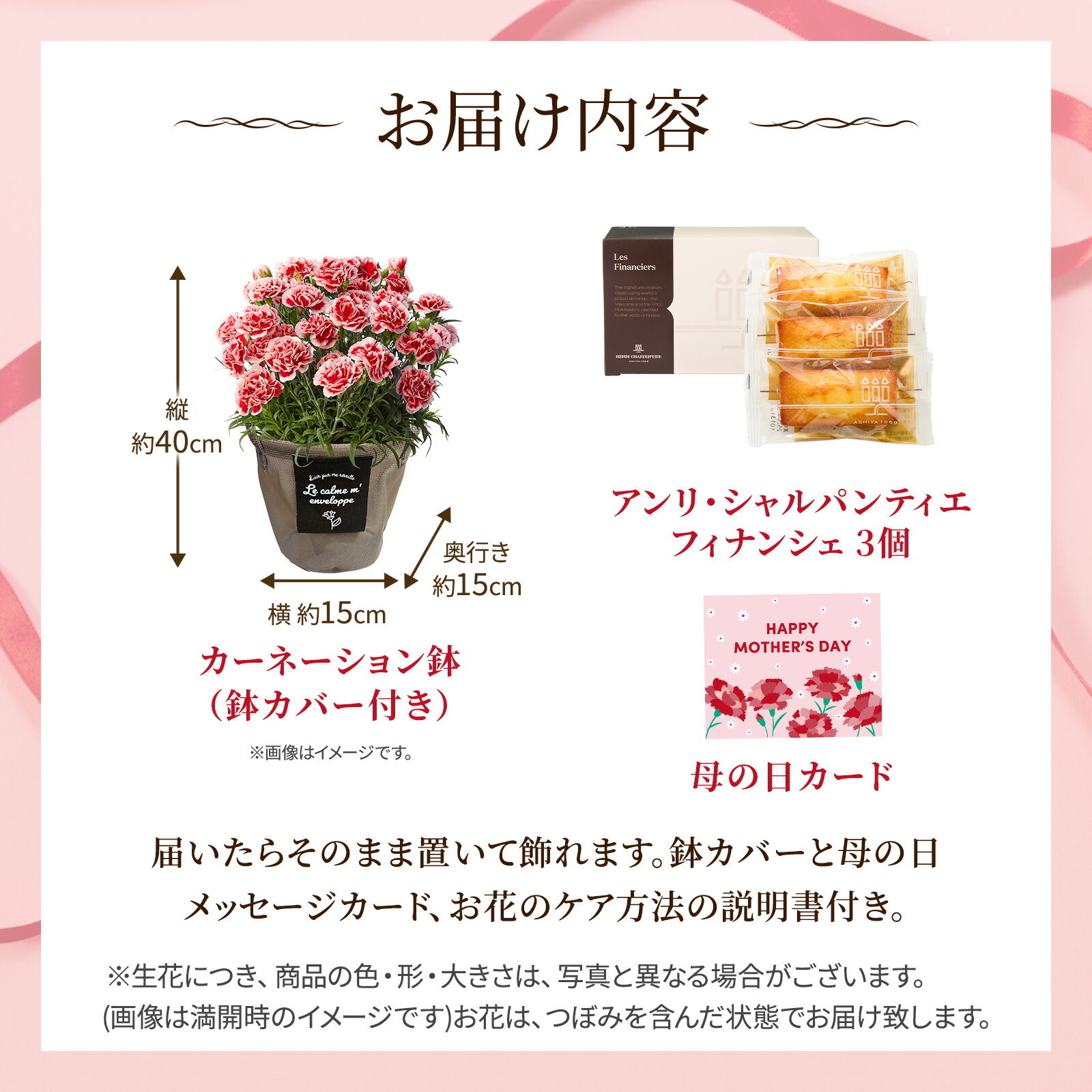 鉢植え カーネーション いちごホイップ と アンリ・シャルパンティエ フィナンシェ のセット【母の日カード付き】